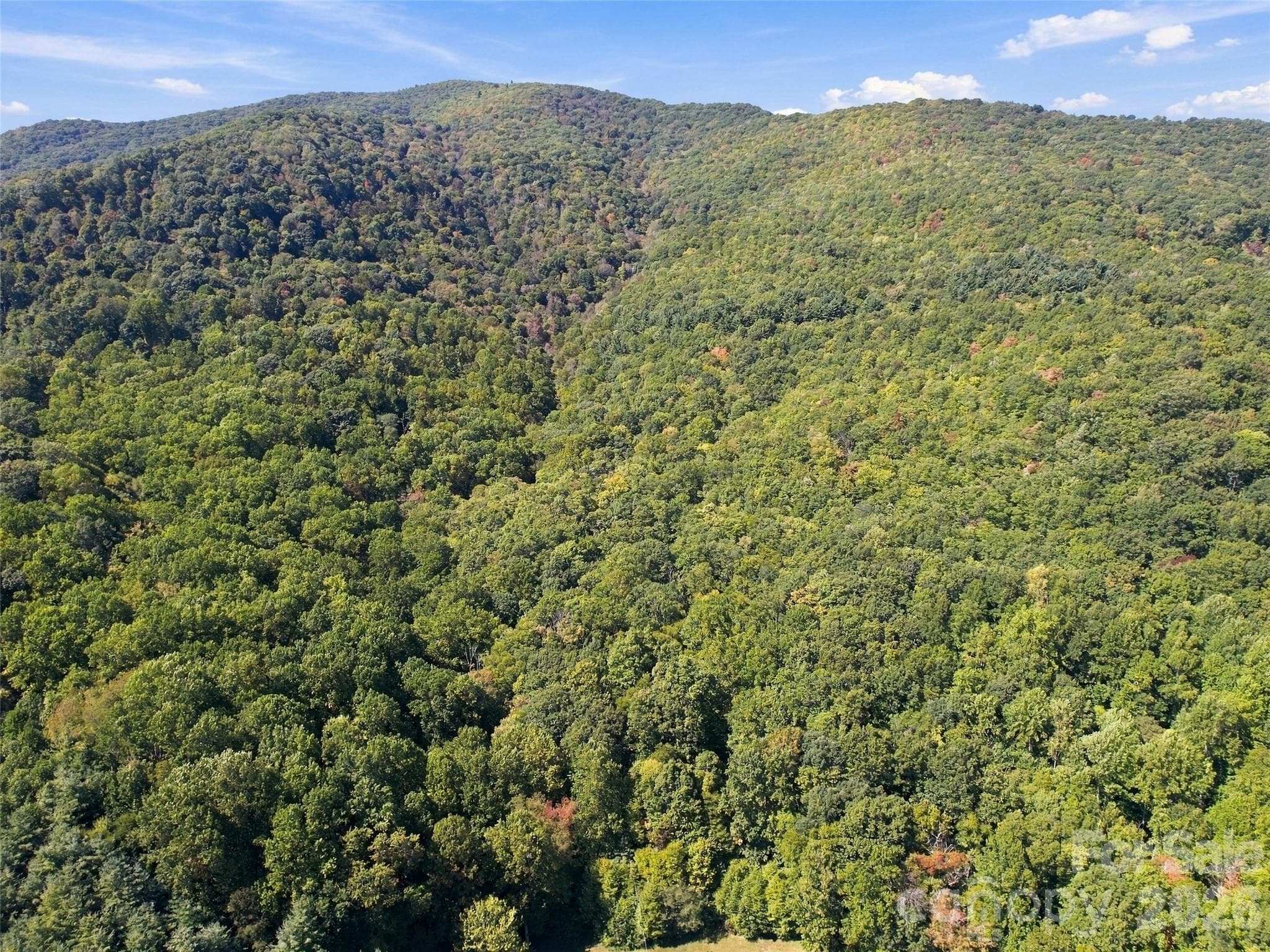 Bordered to the north and west by conserved properties - 00 Orion Davis Road, Waynesville