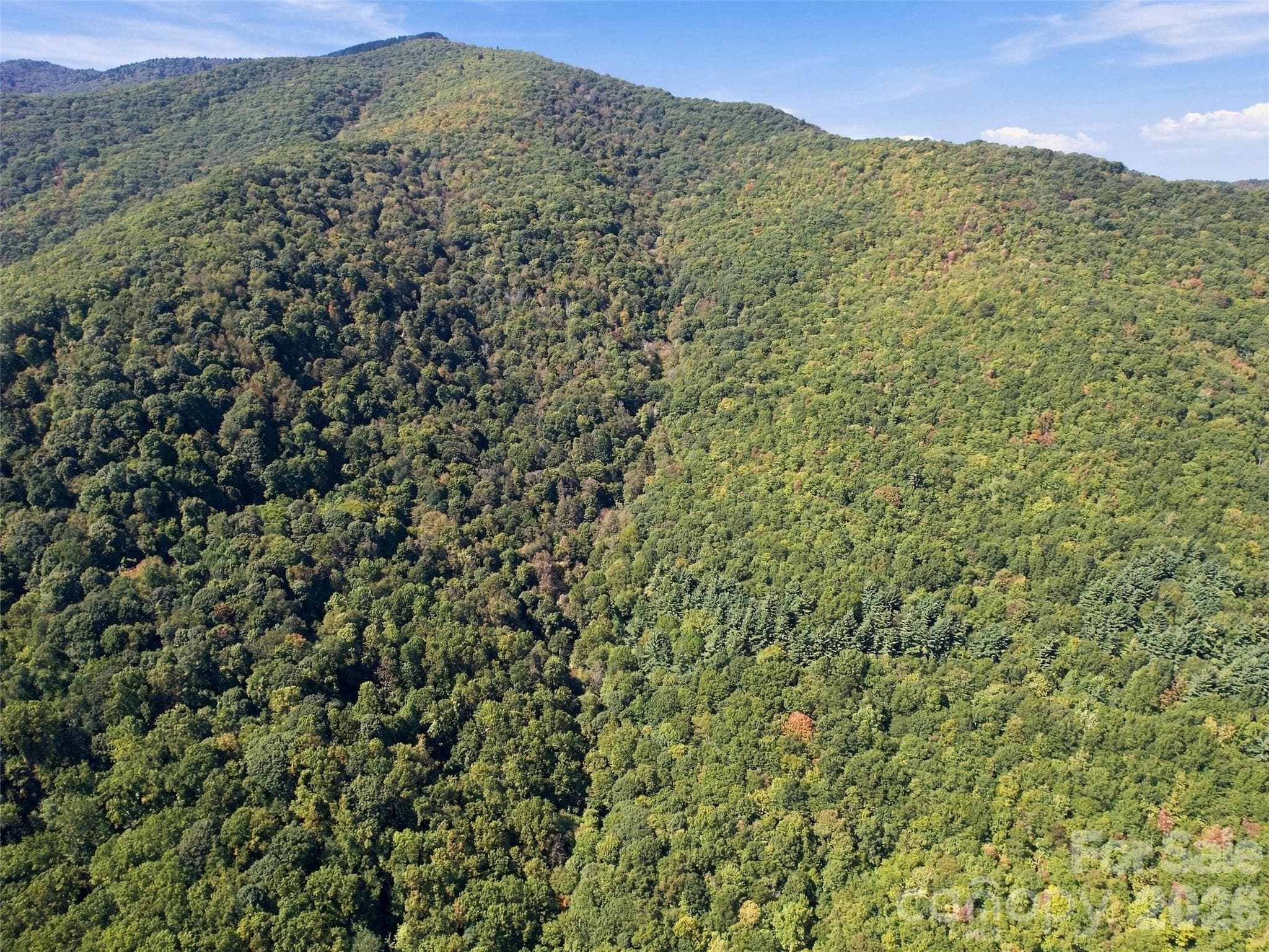 Bordered to the north and west by conserved properties - 00 Orion Davis Road, Waynesville