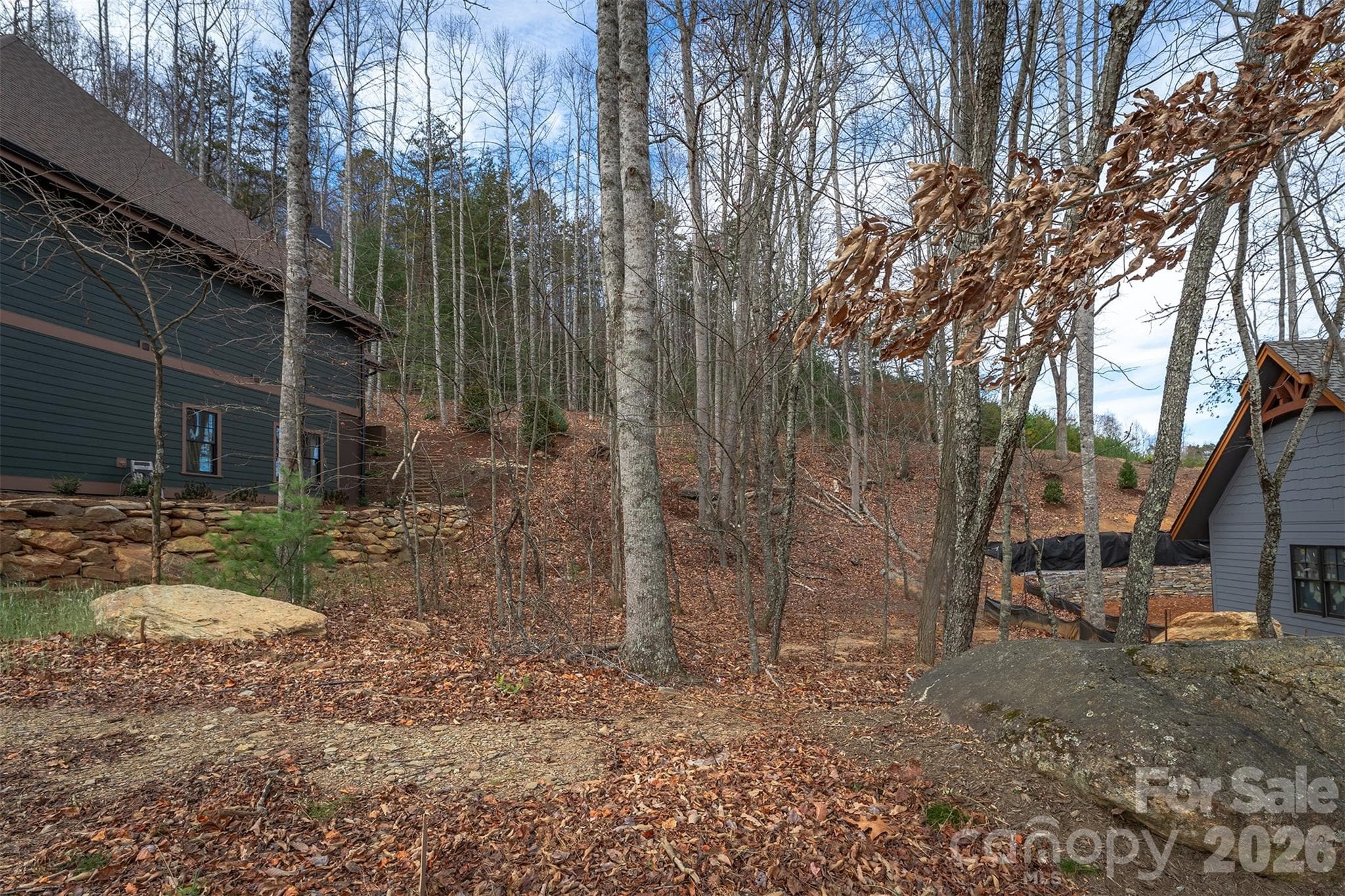 Lot at 31 Old Lafayette Lane, Black Mountain, photo 14 of 76
