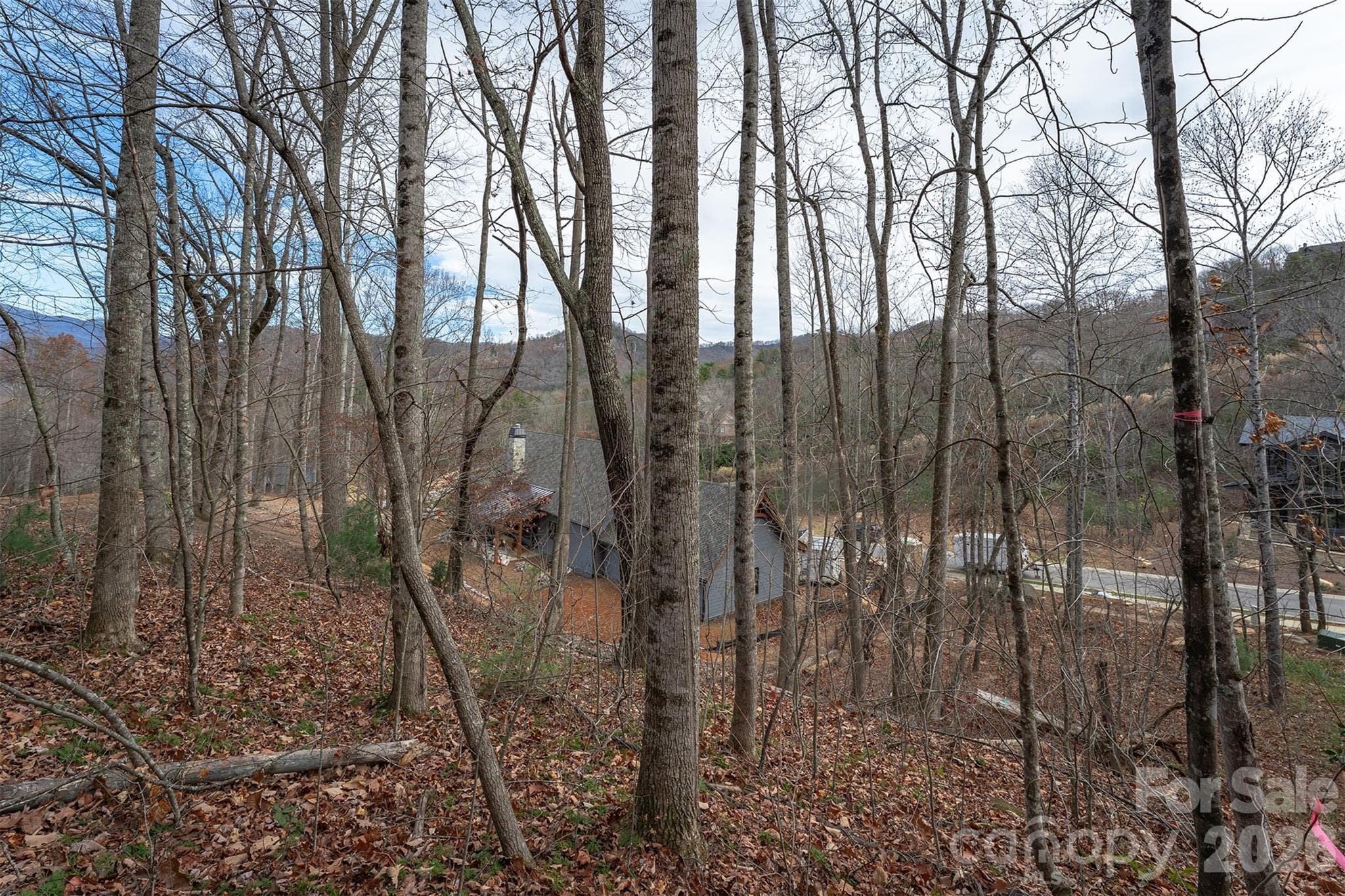 Lot at 31 Old Lafayette Lane, Black Mountain, photo 22 of 76