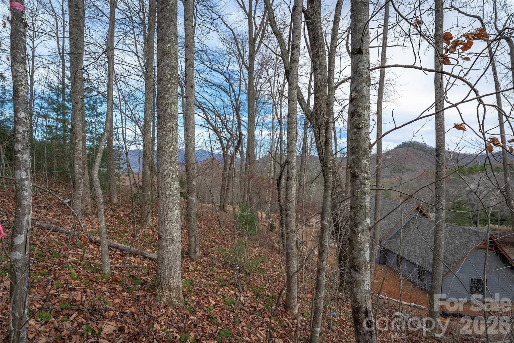 Lot at 31 Old Lafayette Lane, Black Mountain, photo 24 of 76