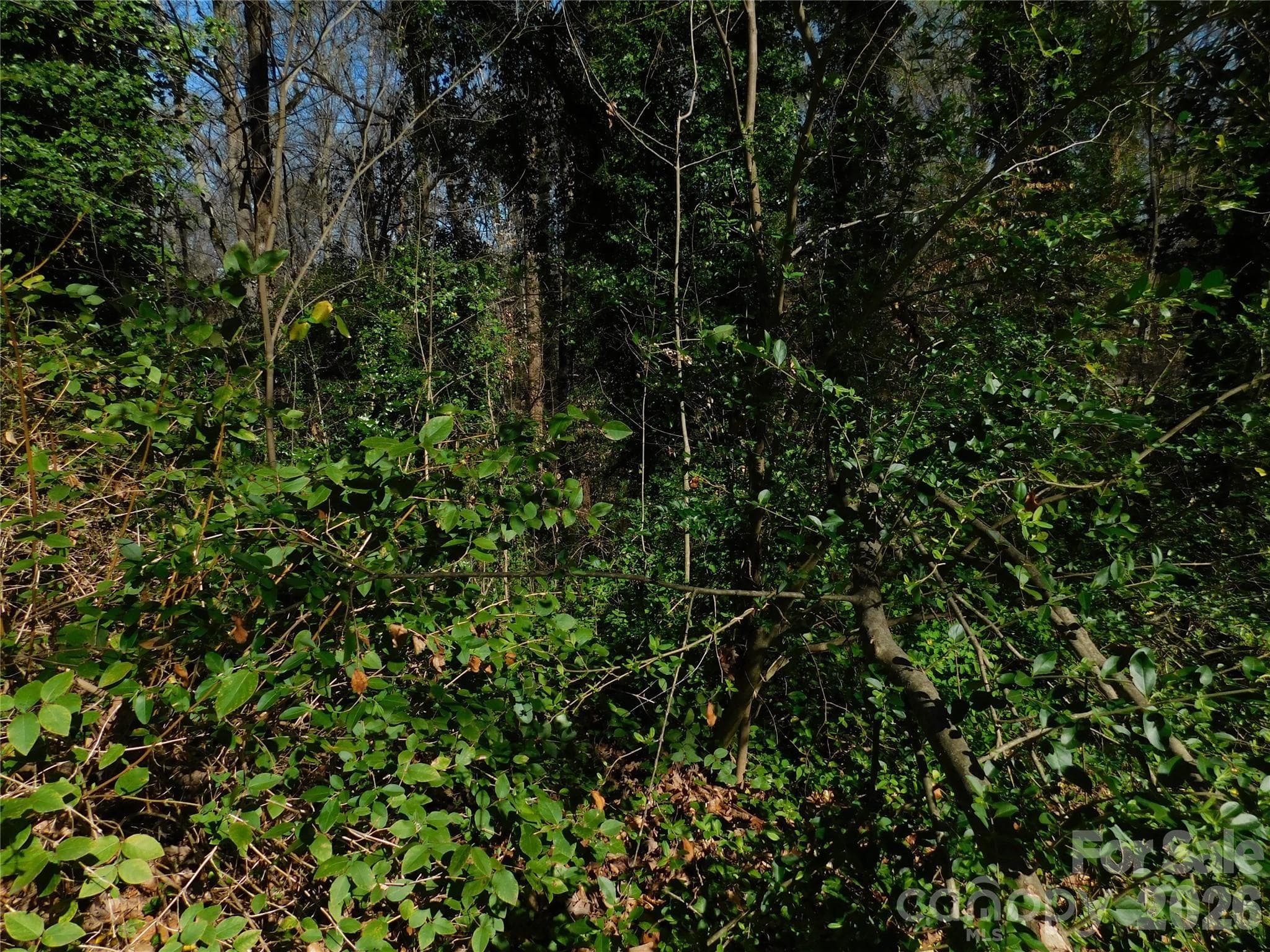 Lot at 000 Todd Drive NE, Concord, photo 2 of 5
