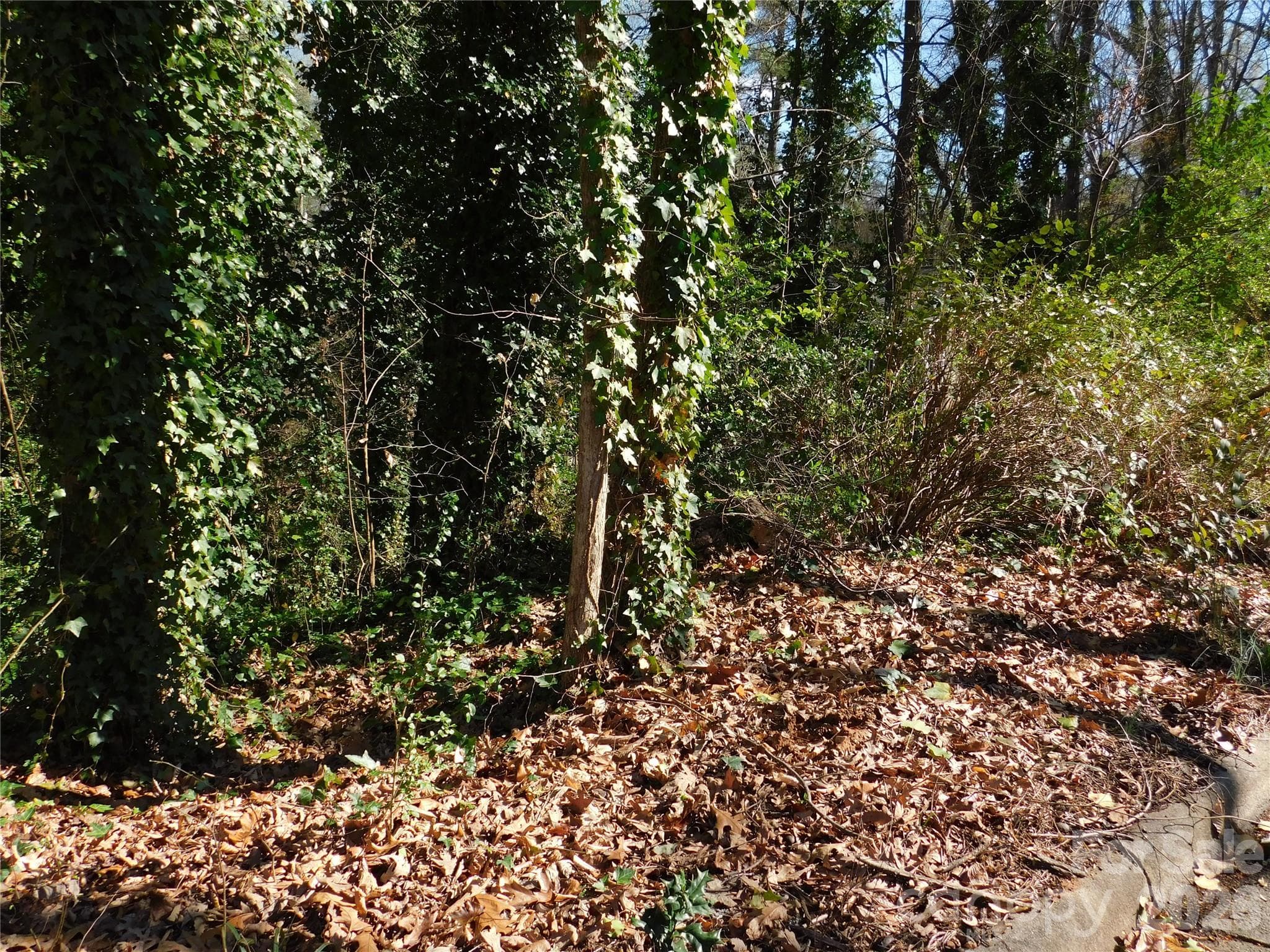 Lot at 000 Todd Drive NE, Concord, photo 4 of 5