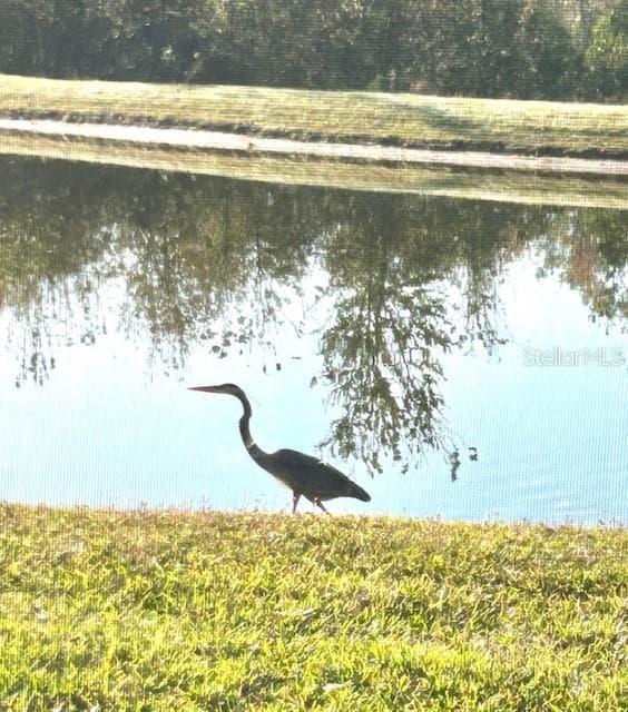 Enjoy the beauty of nature as local wildlife and graceful waterfowl bring this picturesque setting to life. - 6827 GOSPORT CV, BRADENTON