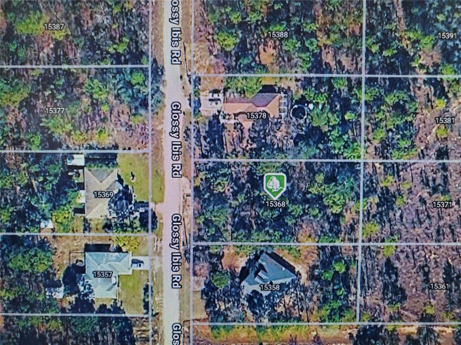 15368 GLOSSY IBIS RD