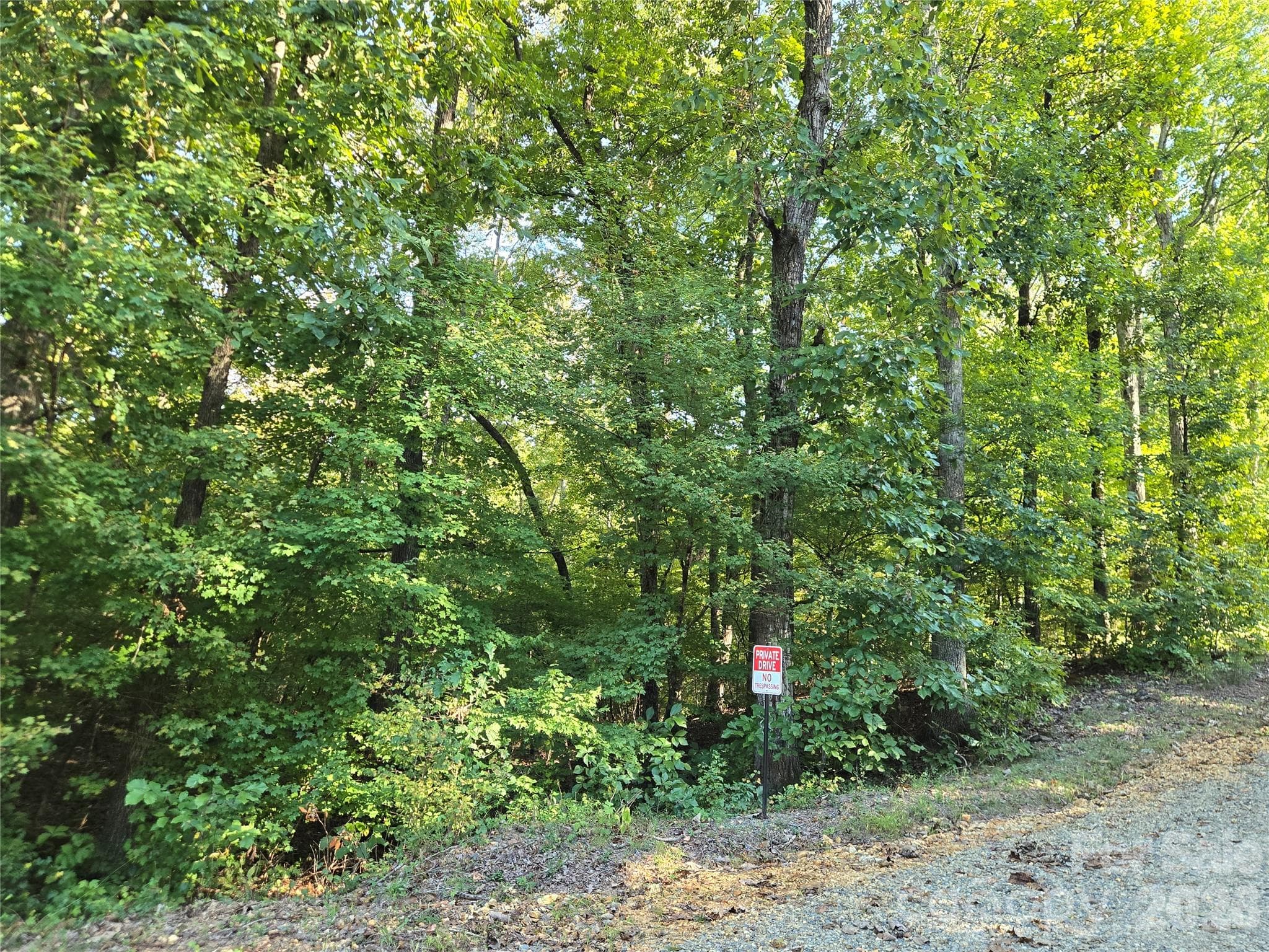 Lot at 0 Cherokee Lane, Badin Lake, photo 8 of 23