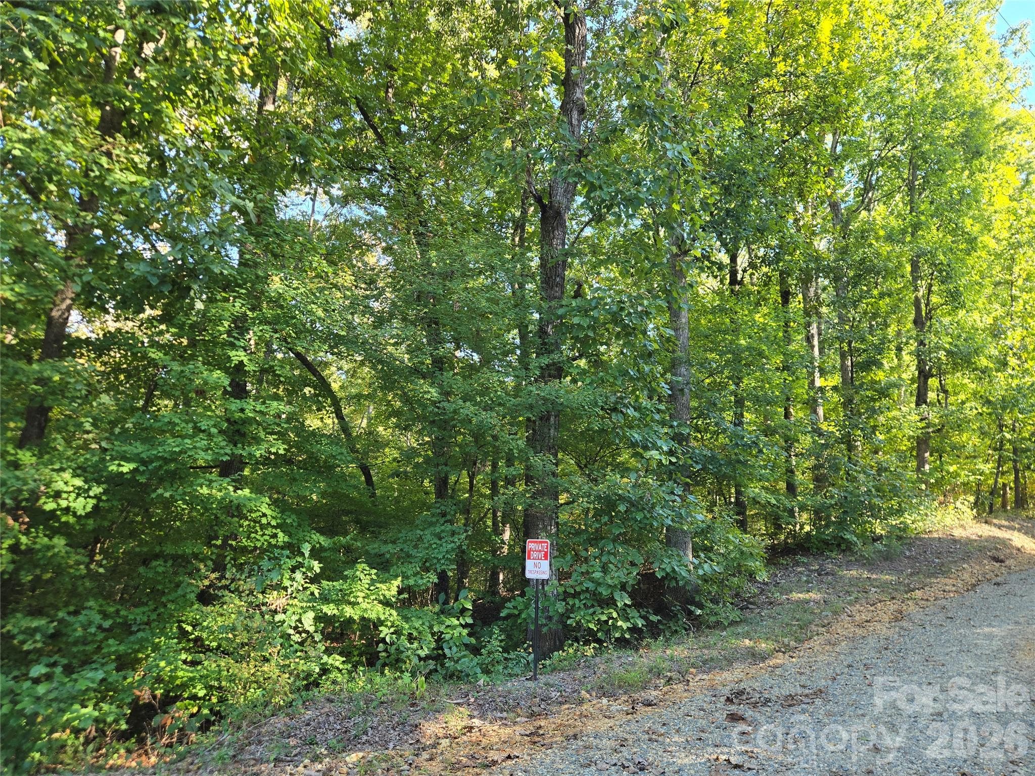 Lot at 0 Cherokee Lane, Badin Lake, photo 10 of 23