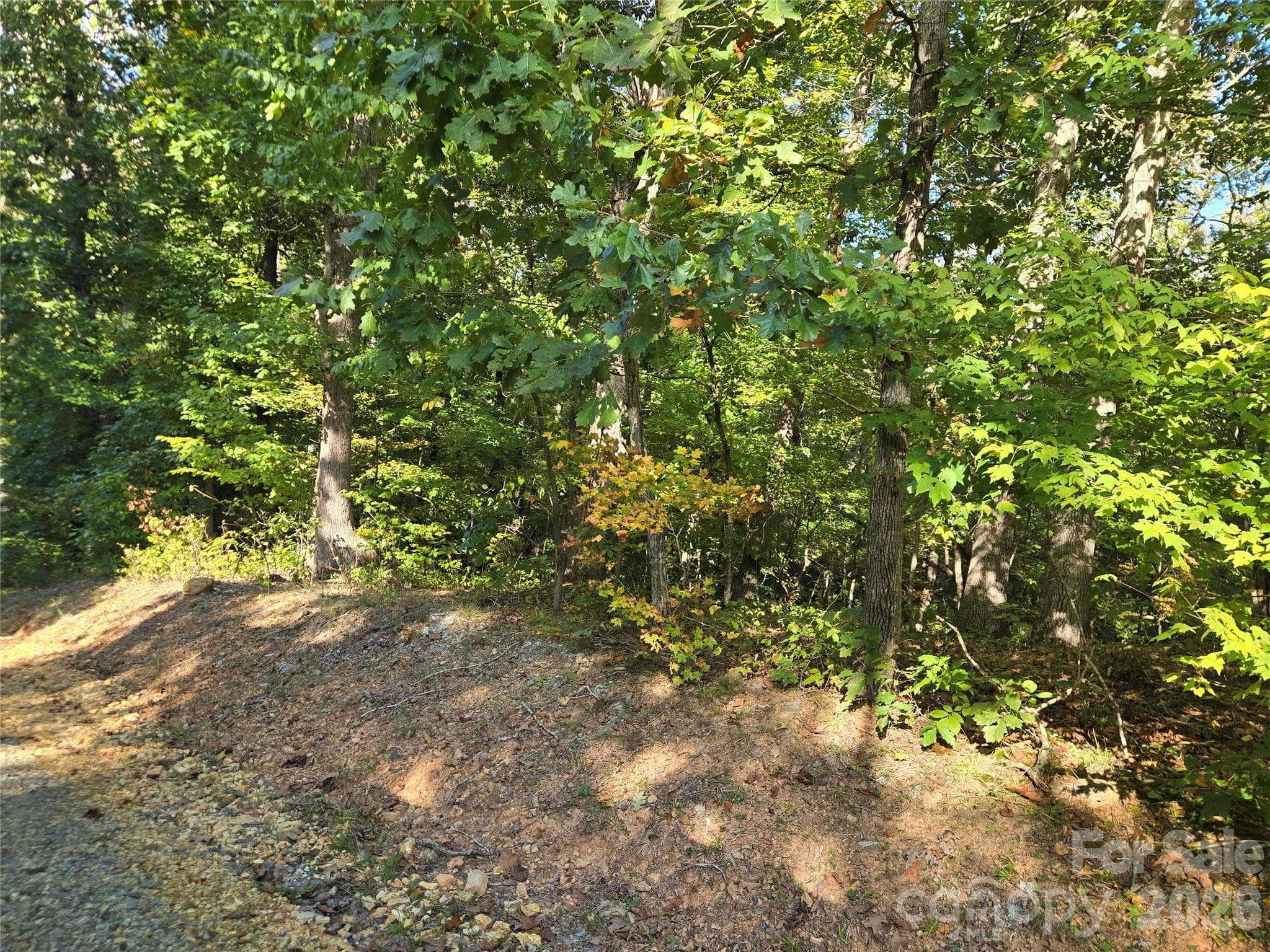 Lot at 0 Cherokee Lane, Badin Lake, photo 11 of 23
