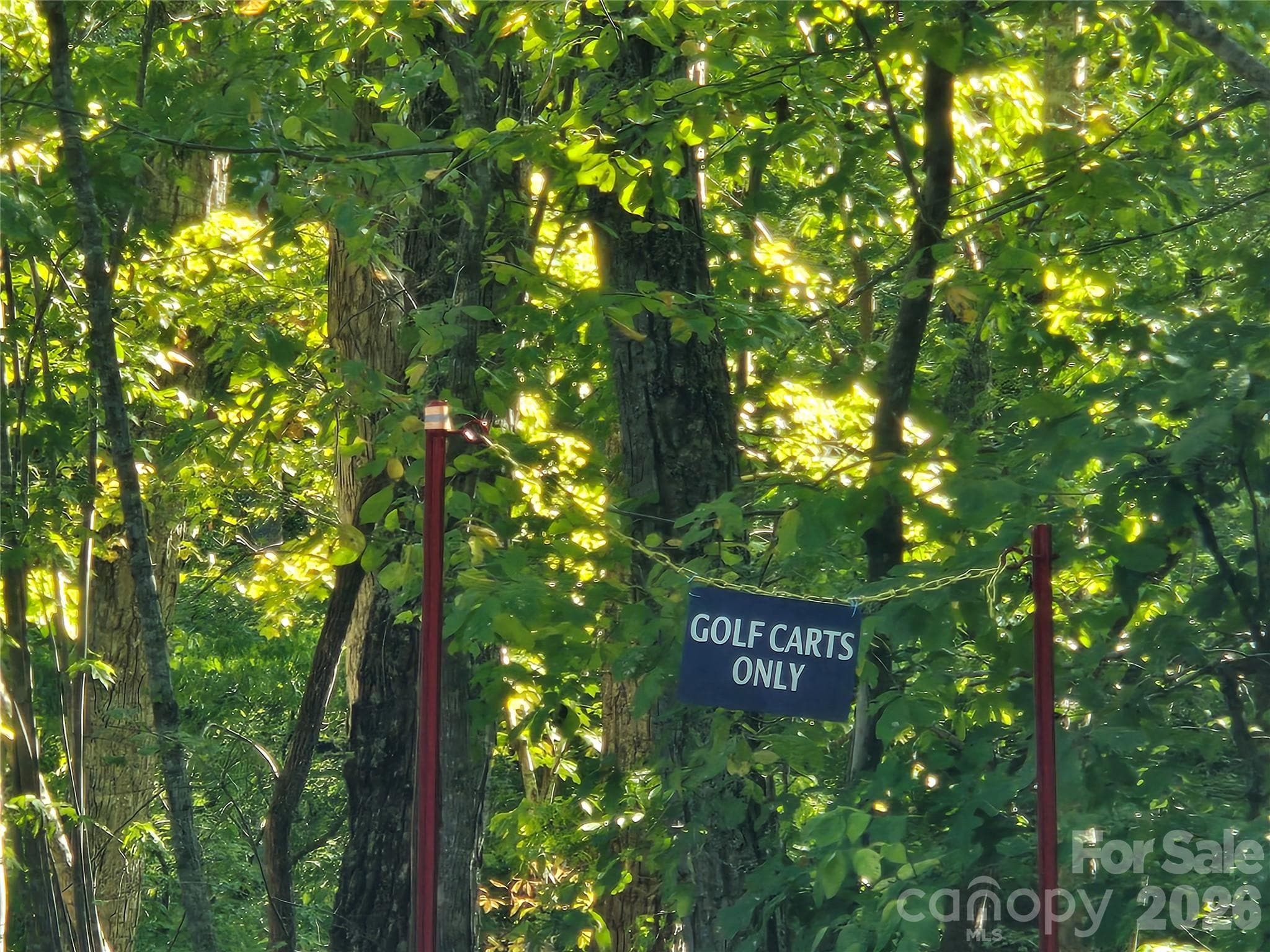 Lot at 0 Cherokee Lane, Badin Lake, photo 13 of 23