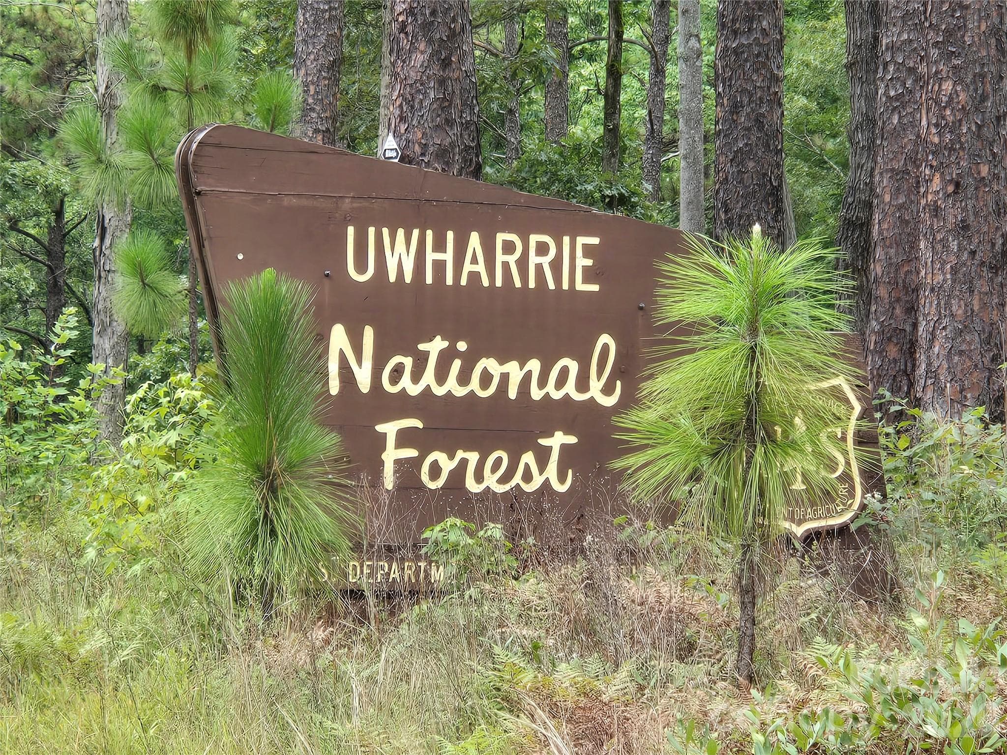 The Uwharrie National Forest 5 minutes away is a great destination for camping, hiking, horseback riding, and ATV/OHV trails. - 0 Cherokee Lane, Badin Lake