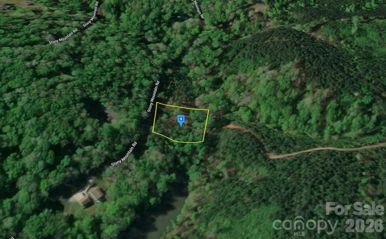 Lot at 25400 Stony Mountain Road, Albemarle, photo 2 of 4