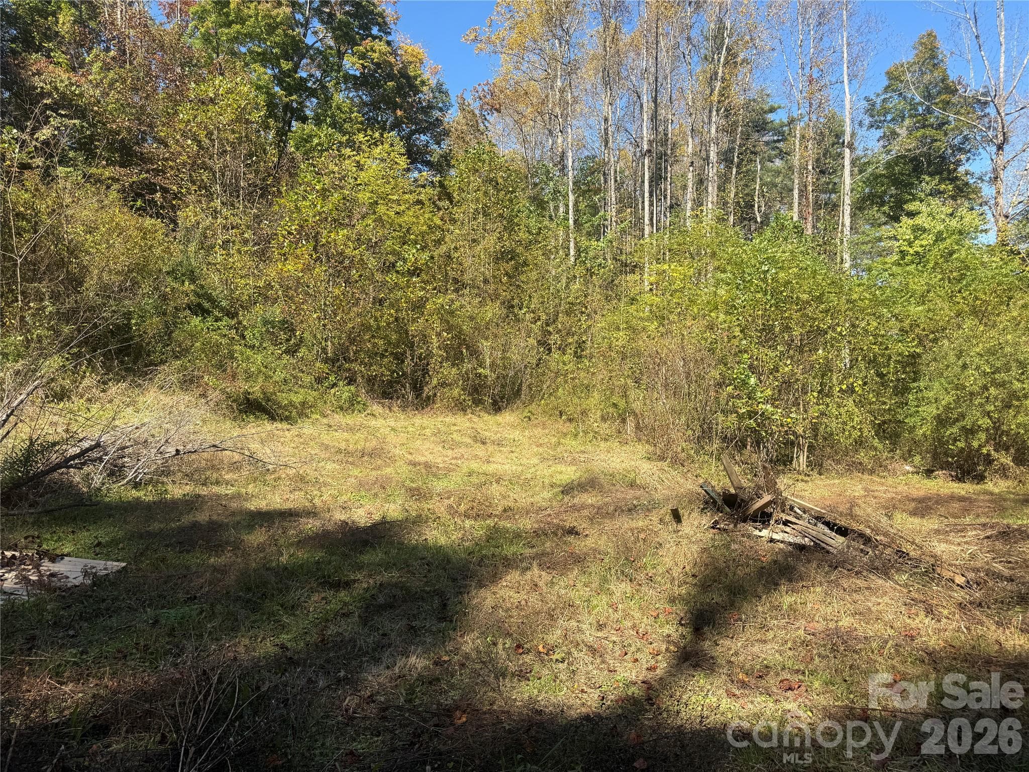 Acreage at 240 Old Toxaway Road, Brevard, photo 3 of 13