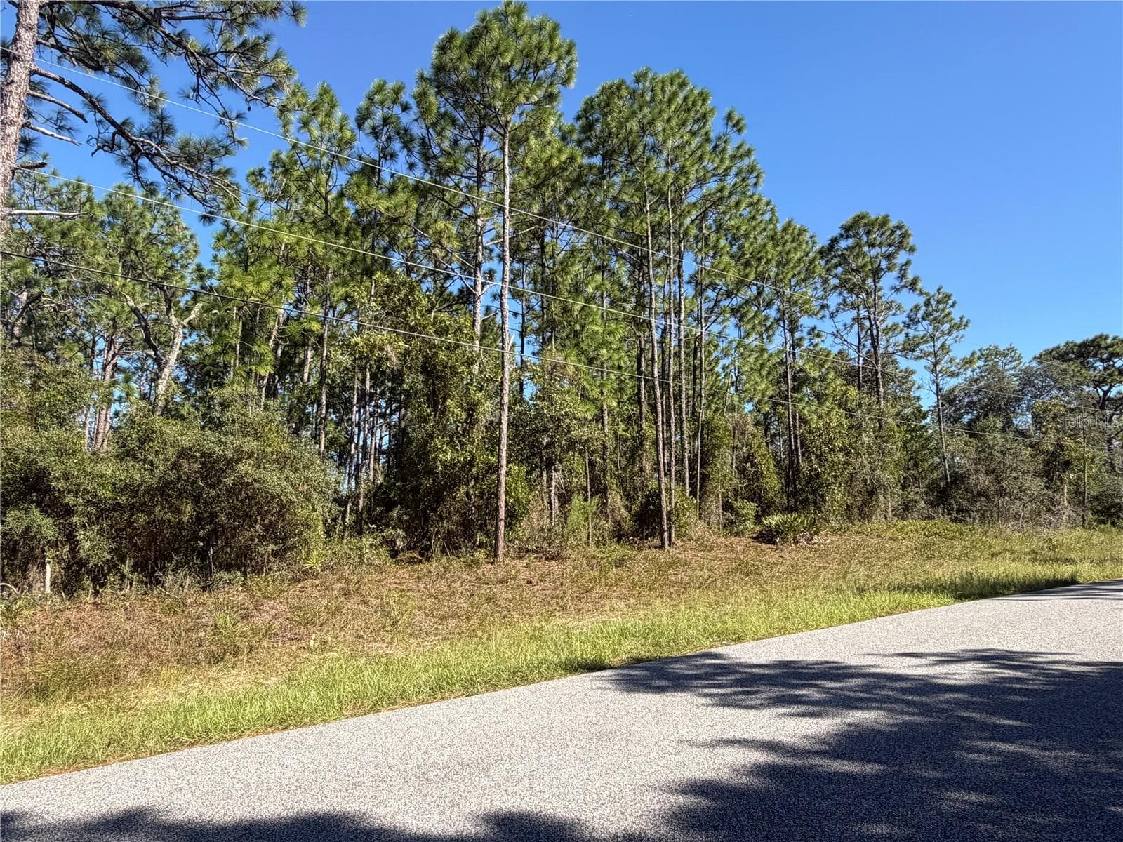 Land at 5926 W GLORY HILL ST, BEVERLY HILLS, photo 3 of 9