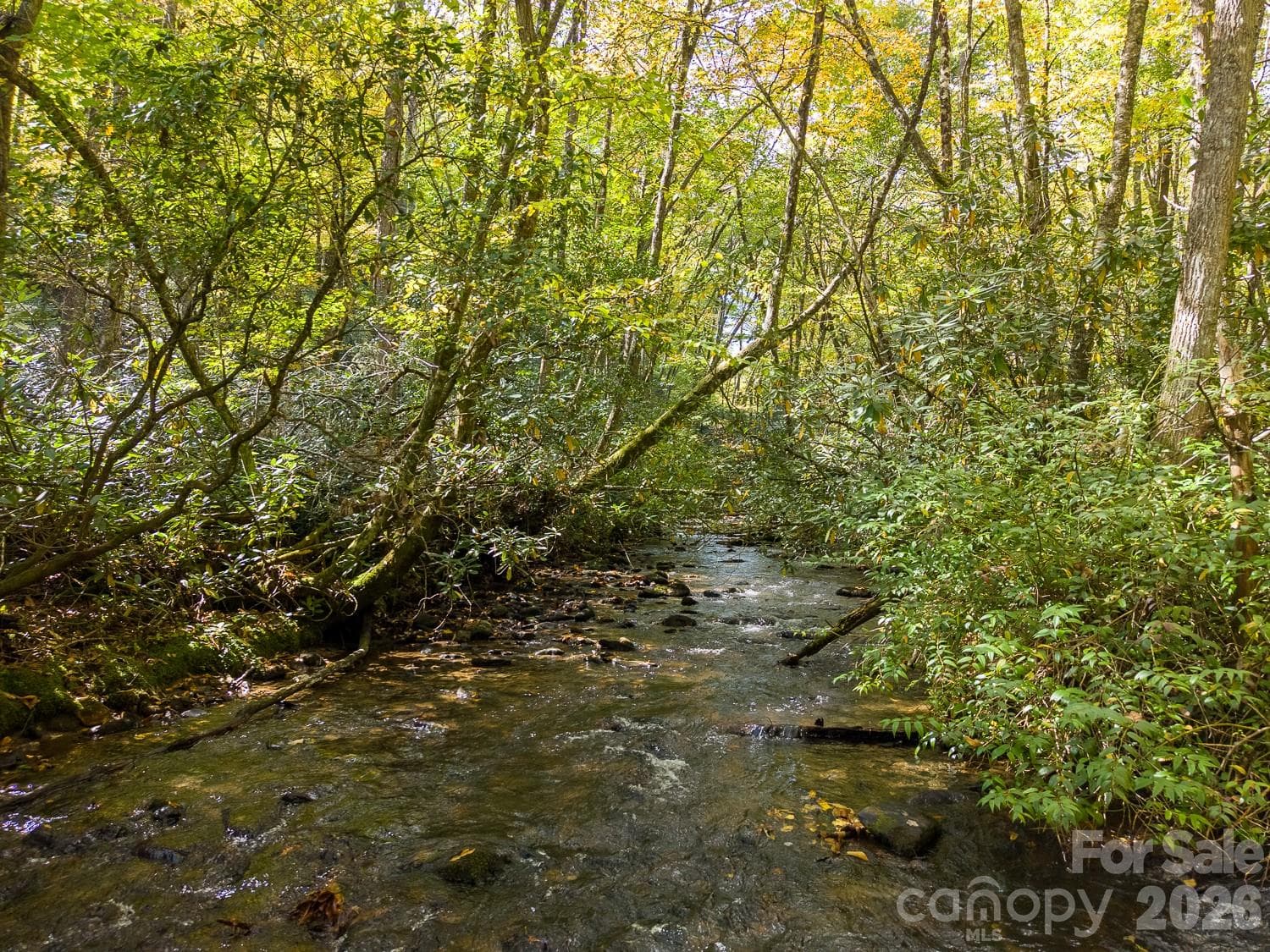 Lot at 00 Little Snowbird Road, Robbinsville, photo 5 of 22