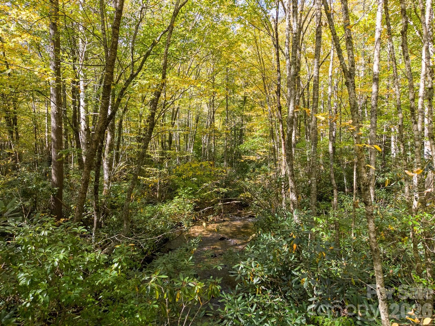 Lot at 00 Little Snowbird Road, Robbinsville, photo 6 of 22