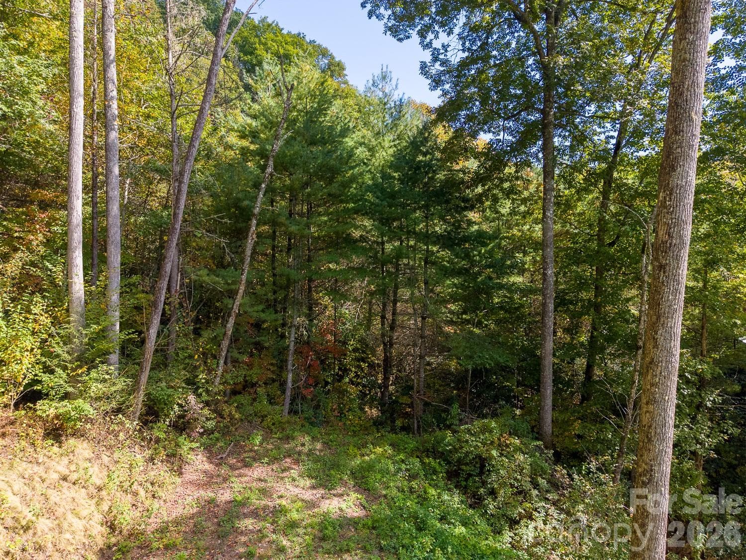 Lot at 00 Little Snowbird Road, Robbinsville, photo 7 of 22