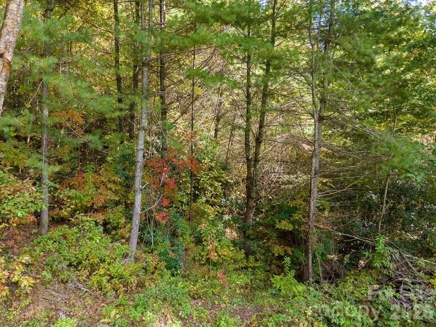 Lot at 00 Little Snowbird Road, Robbinsville, photo 8 of 22