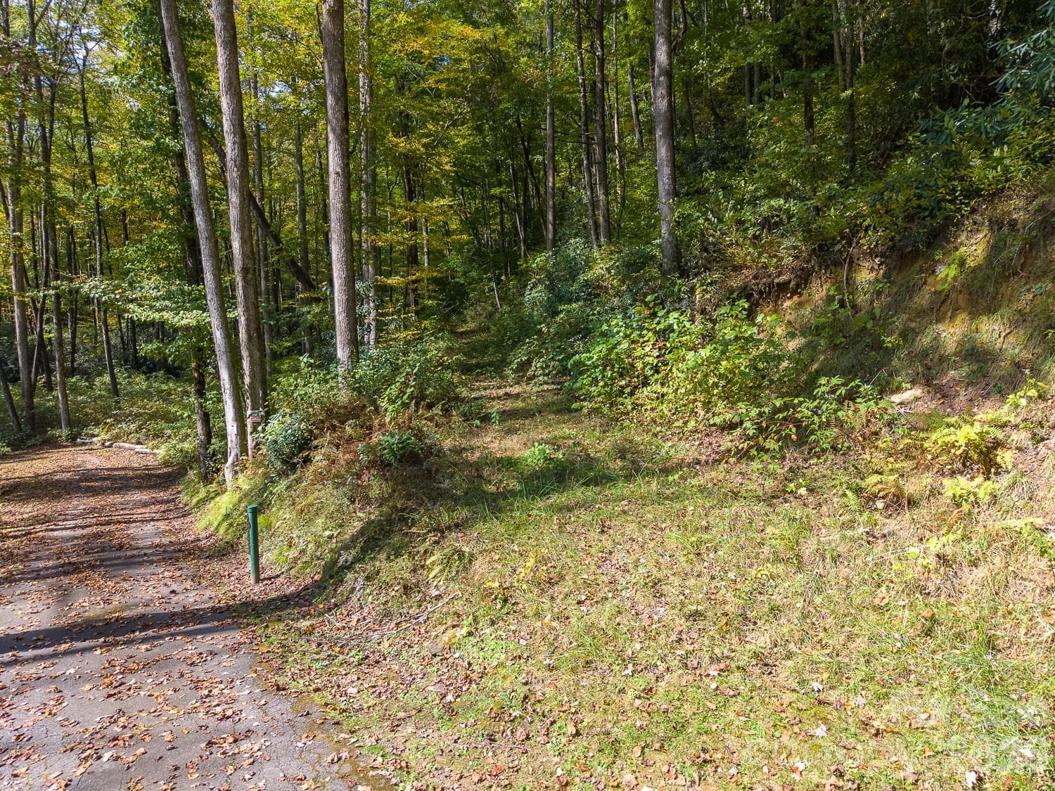 Lot at 00 Little Snowbird Road, Robbinsville, photo 11 of 22