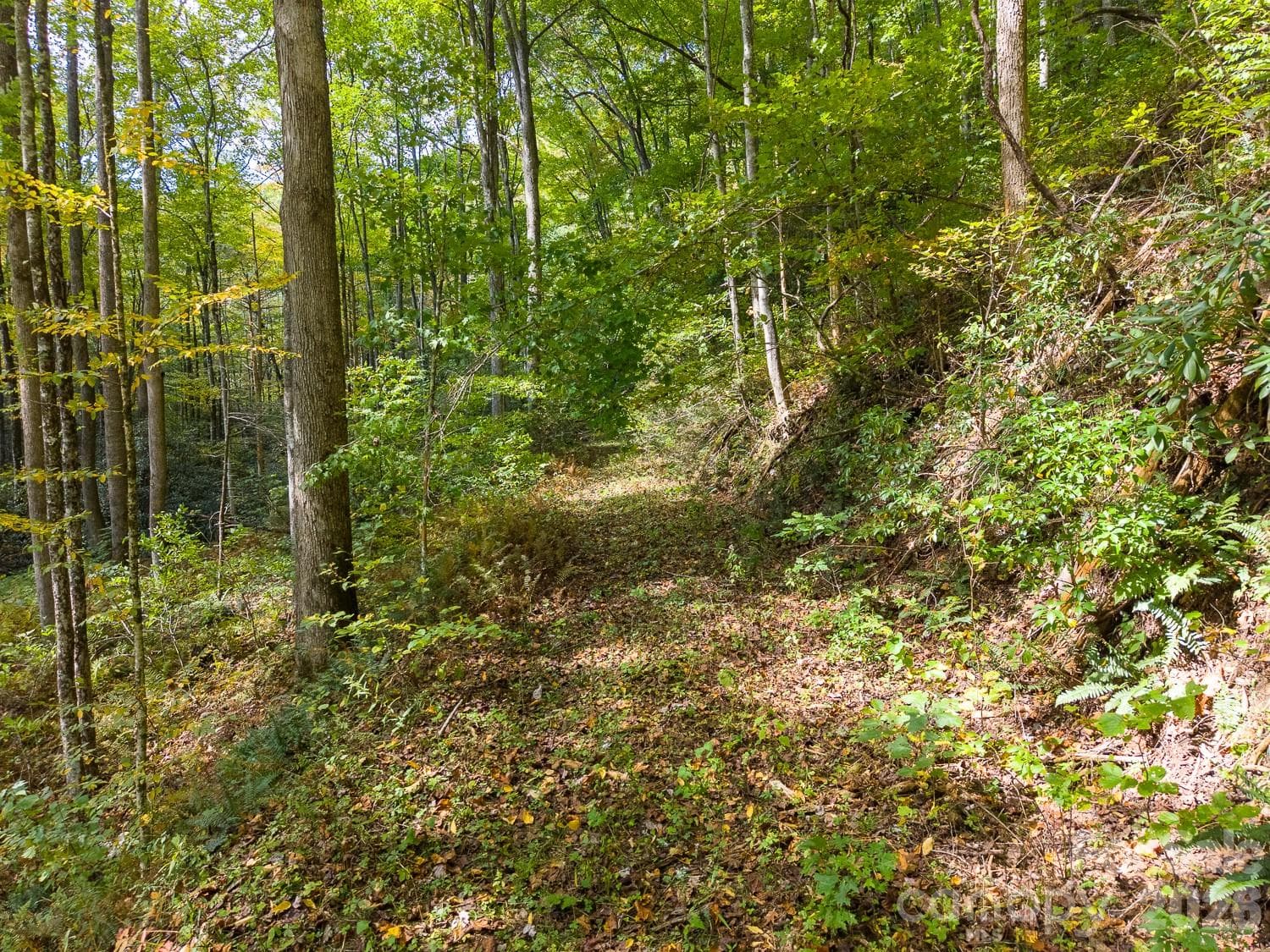 Lot at 00 Little Snowbird Road, Robbinsville, photo 13 of 22