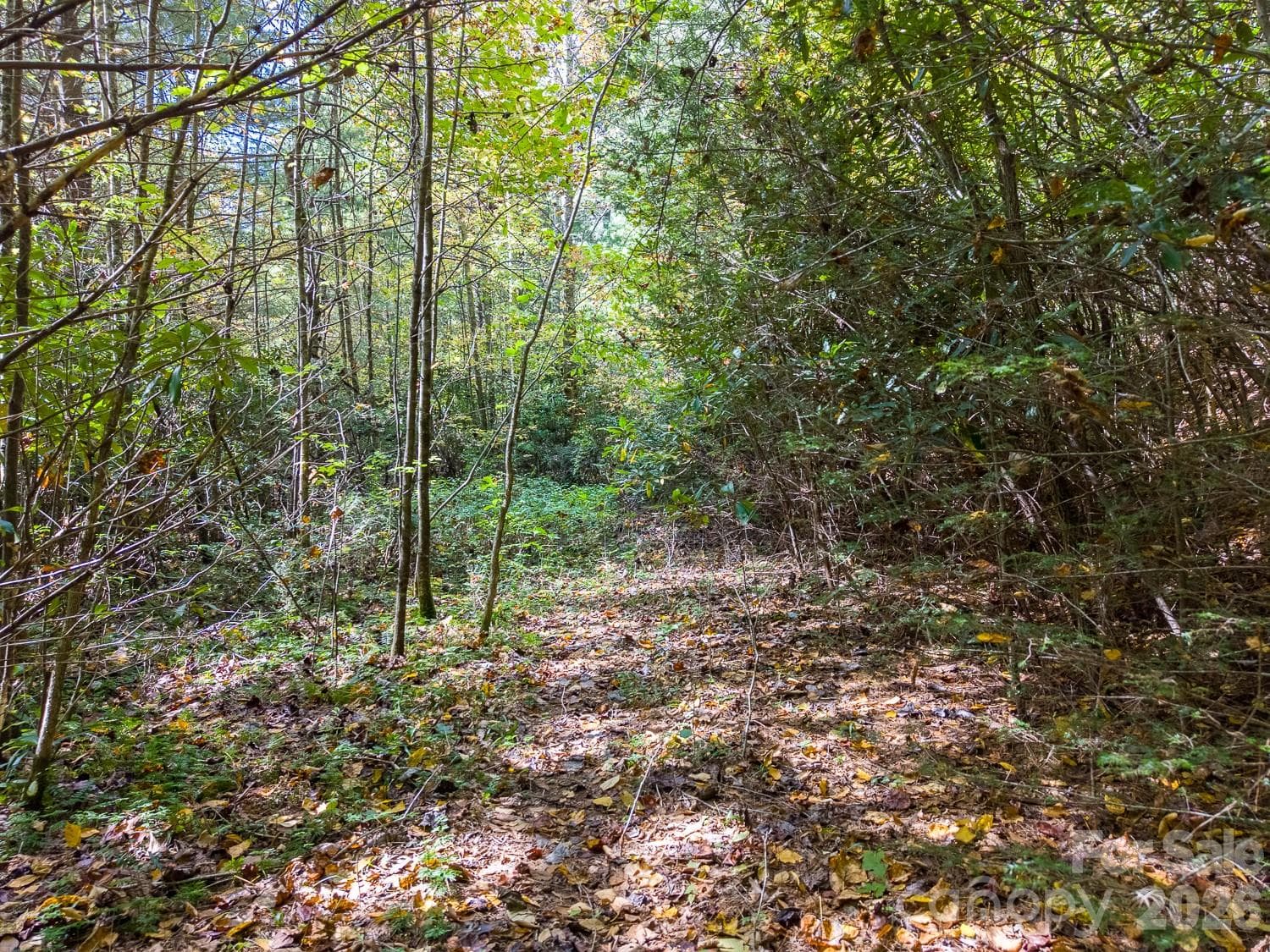 Lot at 00 Little Snowbird Road, Robbinsville, photo 16 of 22