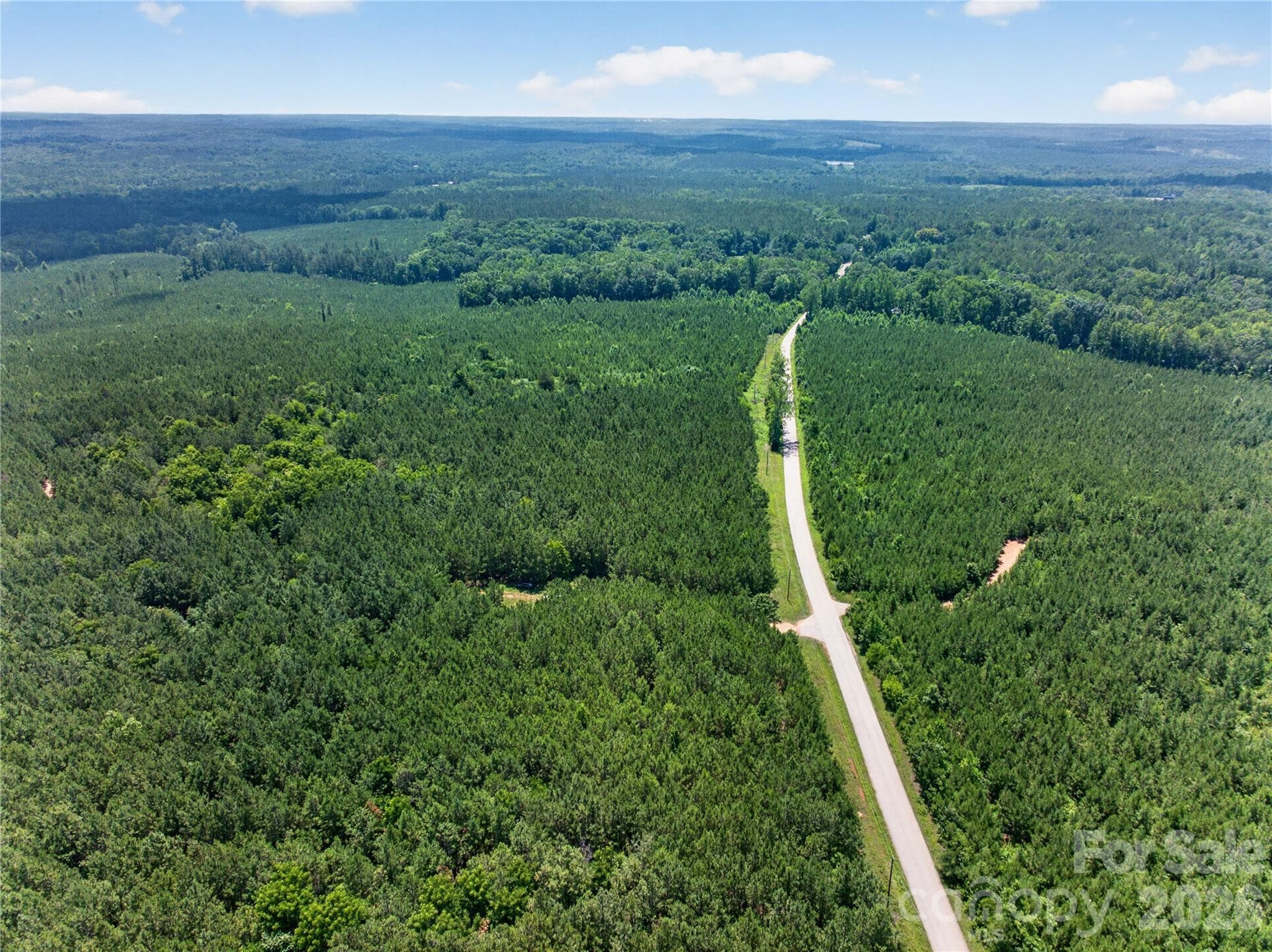 Acreage at 000 Blanton Road, Sharon, photo 2 of 24