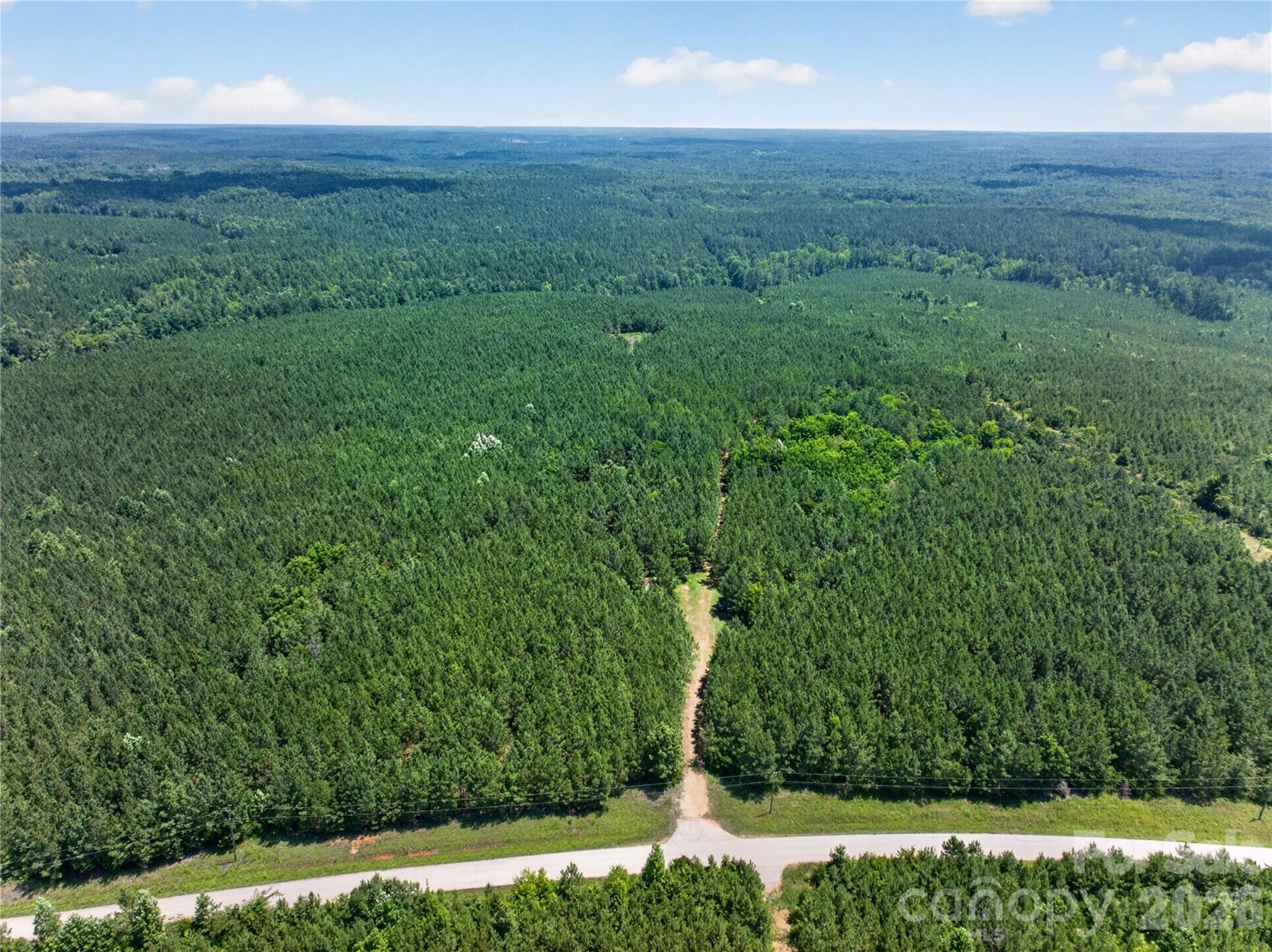 Acreage at 000 Blanton Road, Sharon, photo 3 of 24
