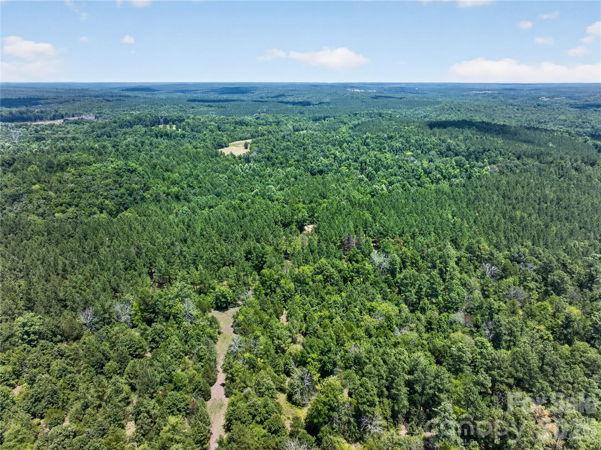 Acreage at 000 Blanton Road, Sharon, photo 4 of 24