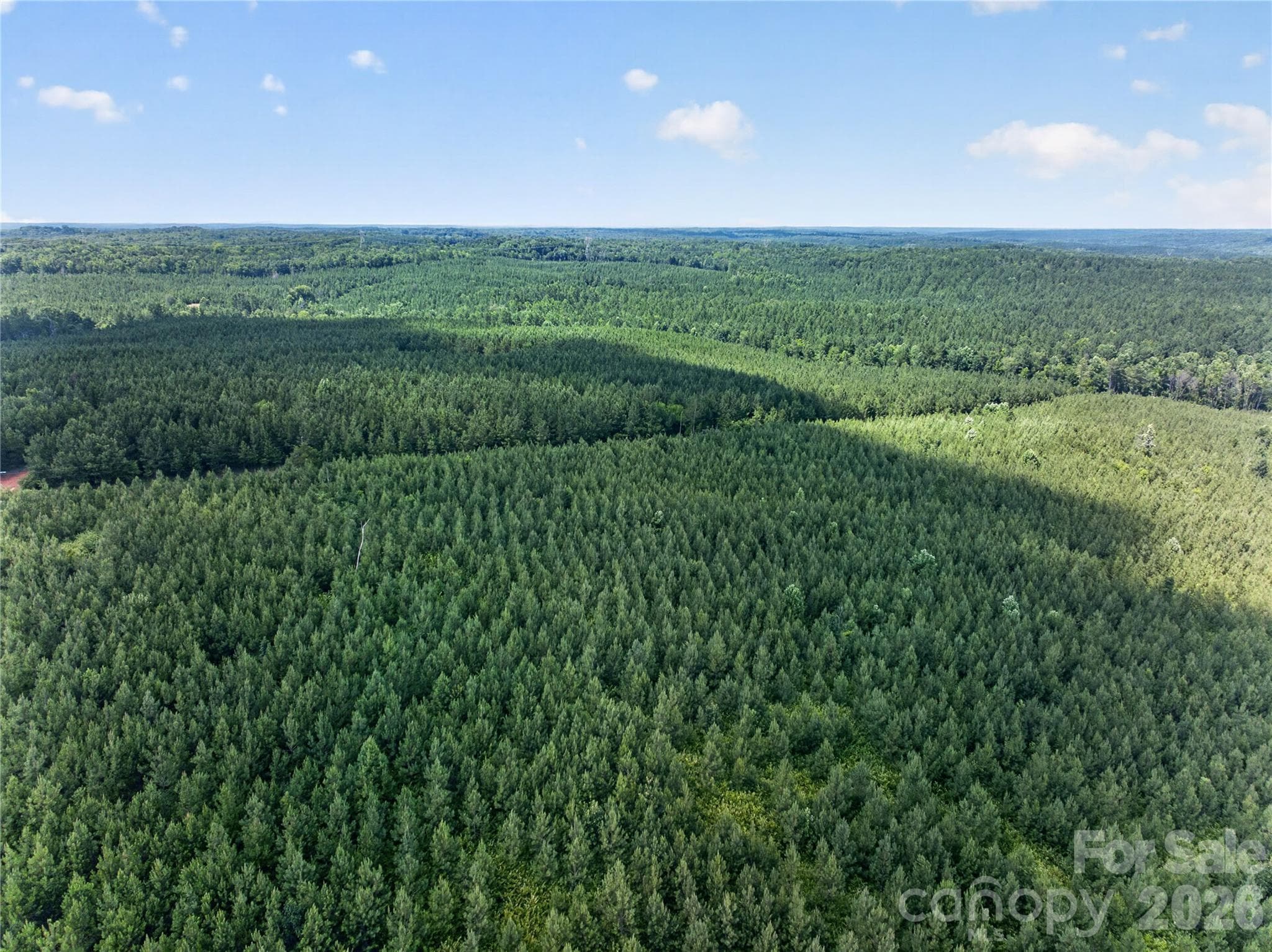 Acreage at 000 Blanton Road, Sharon, photo 5 of 24