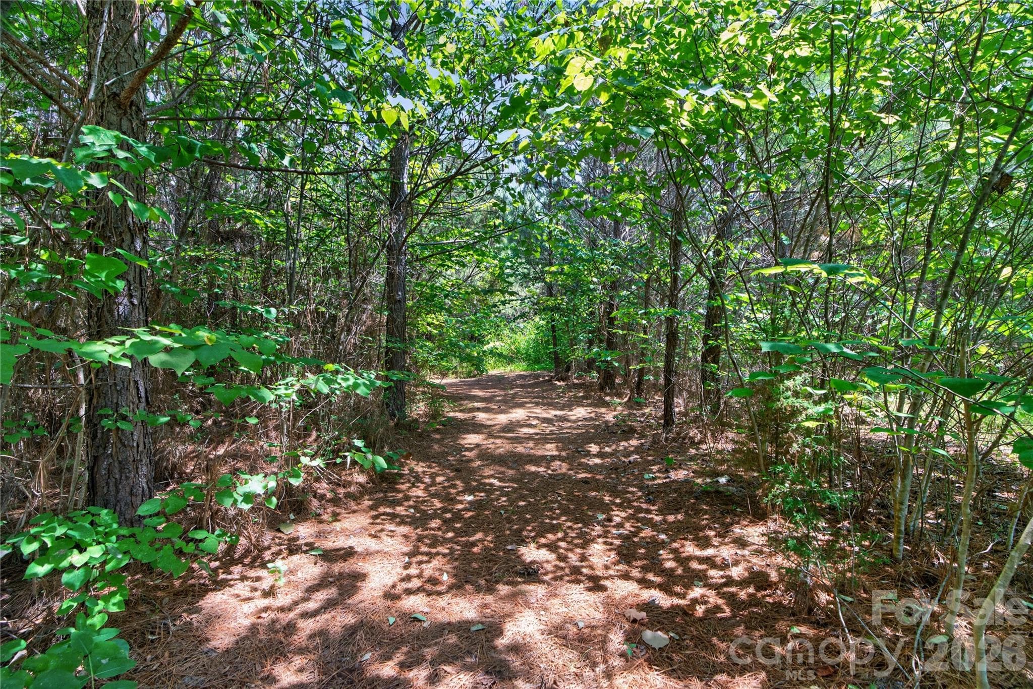 Acreage at 000 Blanton Road, Sharon, photo 8 of 24