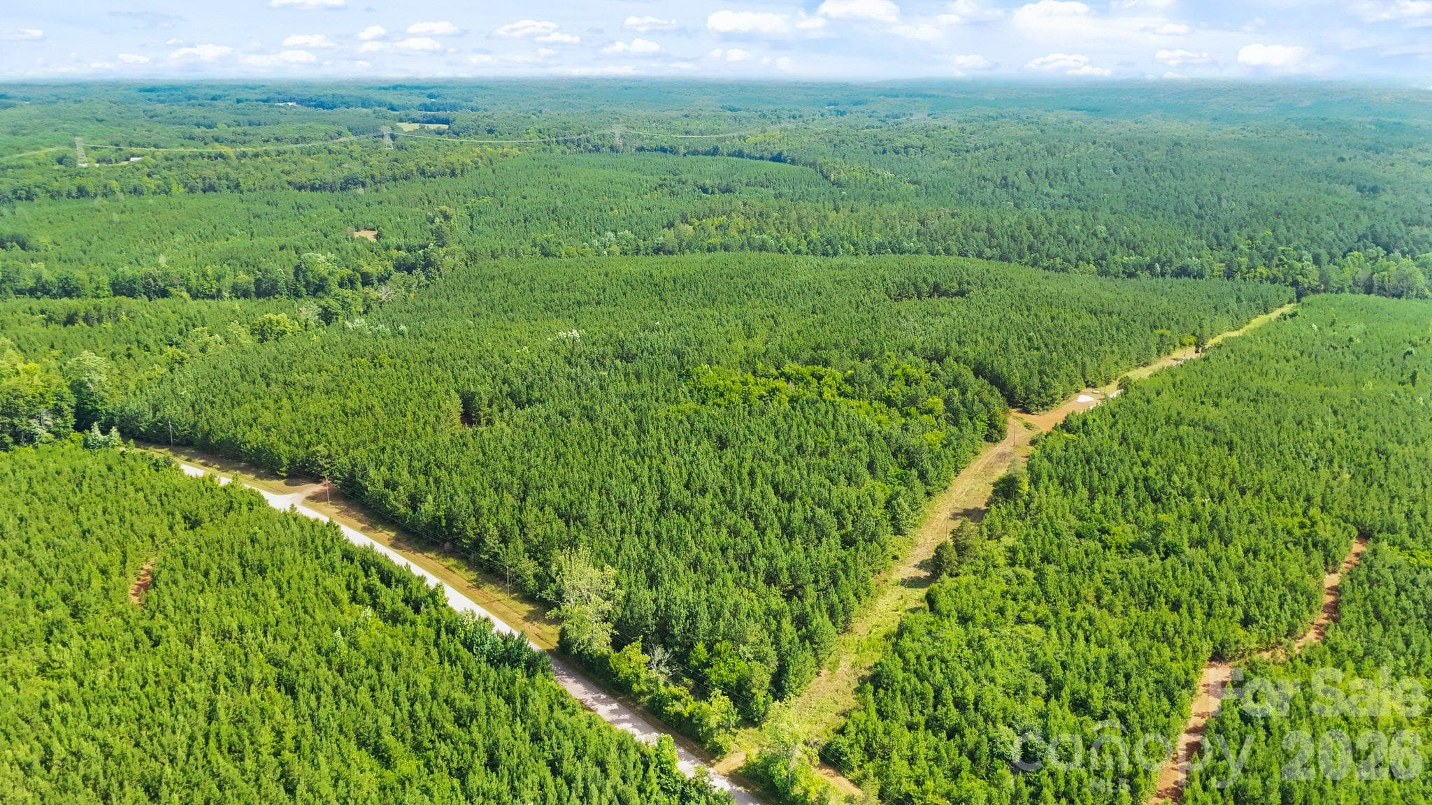 Acreage at 000 Blanton Road, Sharon, photo 10 of 24