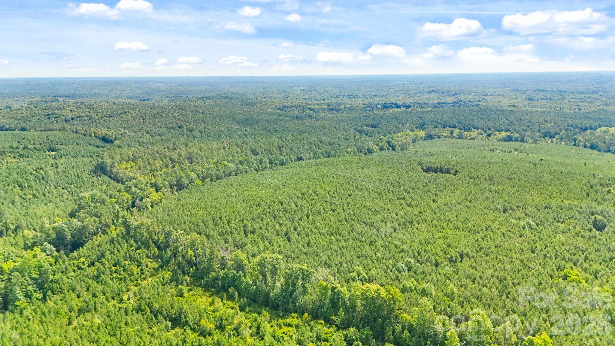 Acreage at 000 Blanton Road, Sharon, photo 11 of 24