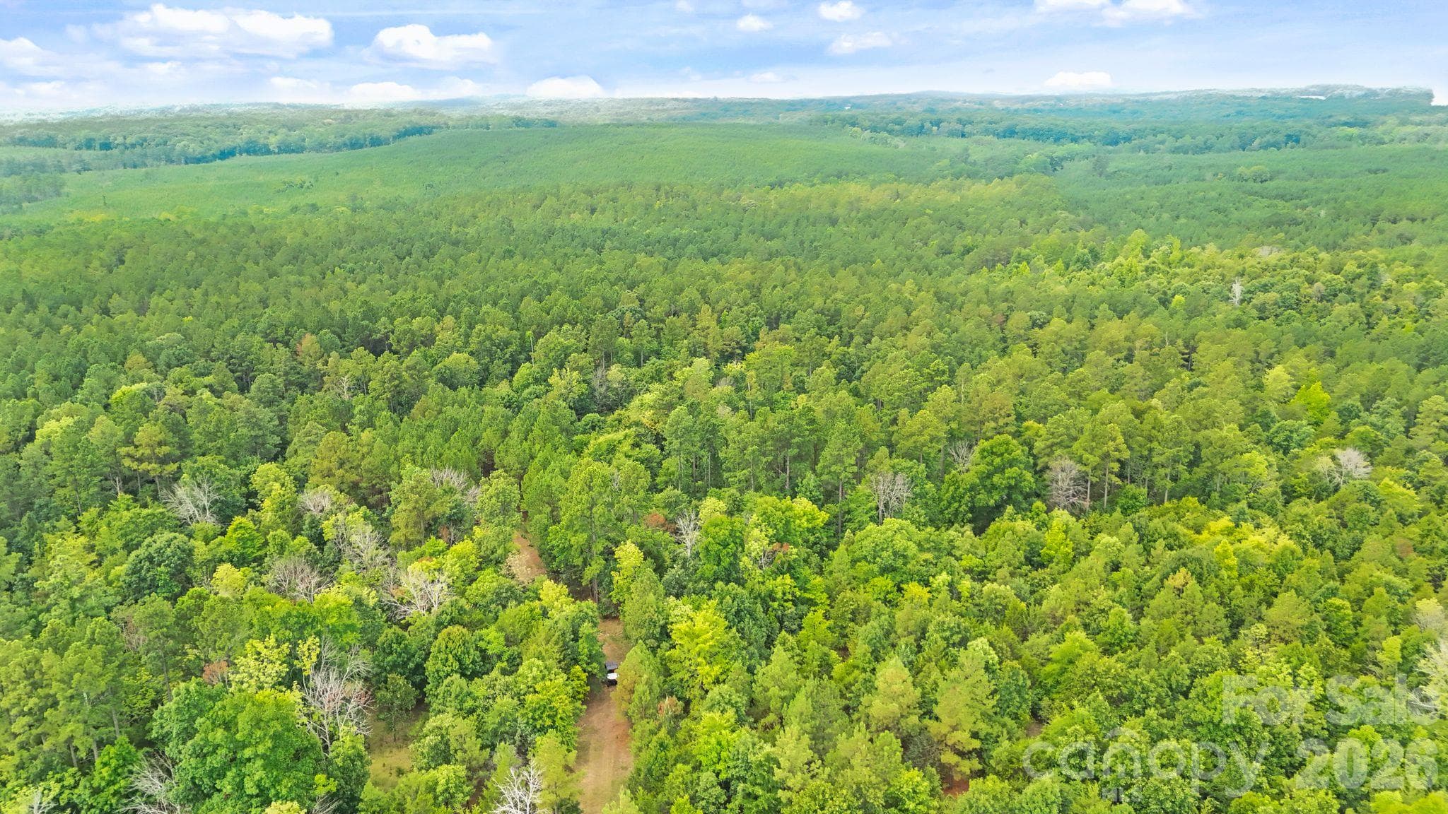 Acreage at 000 Blanton Road, Sharon, photo 13 of 24