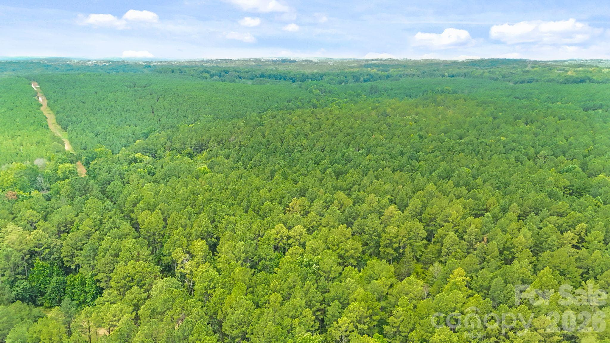 Acreage at 000 Blanton Road, Sharon, photo 17 of 24