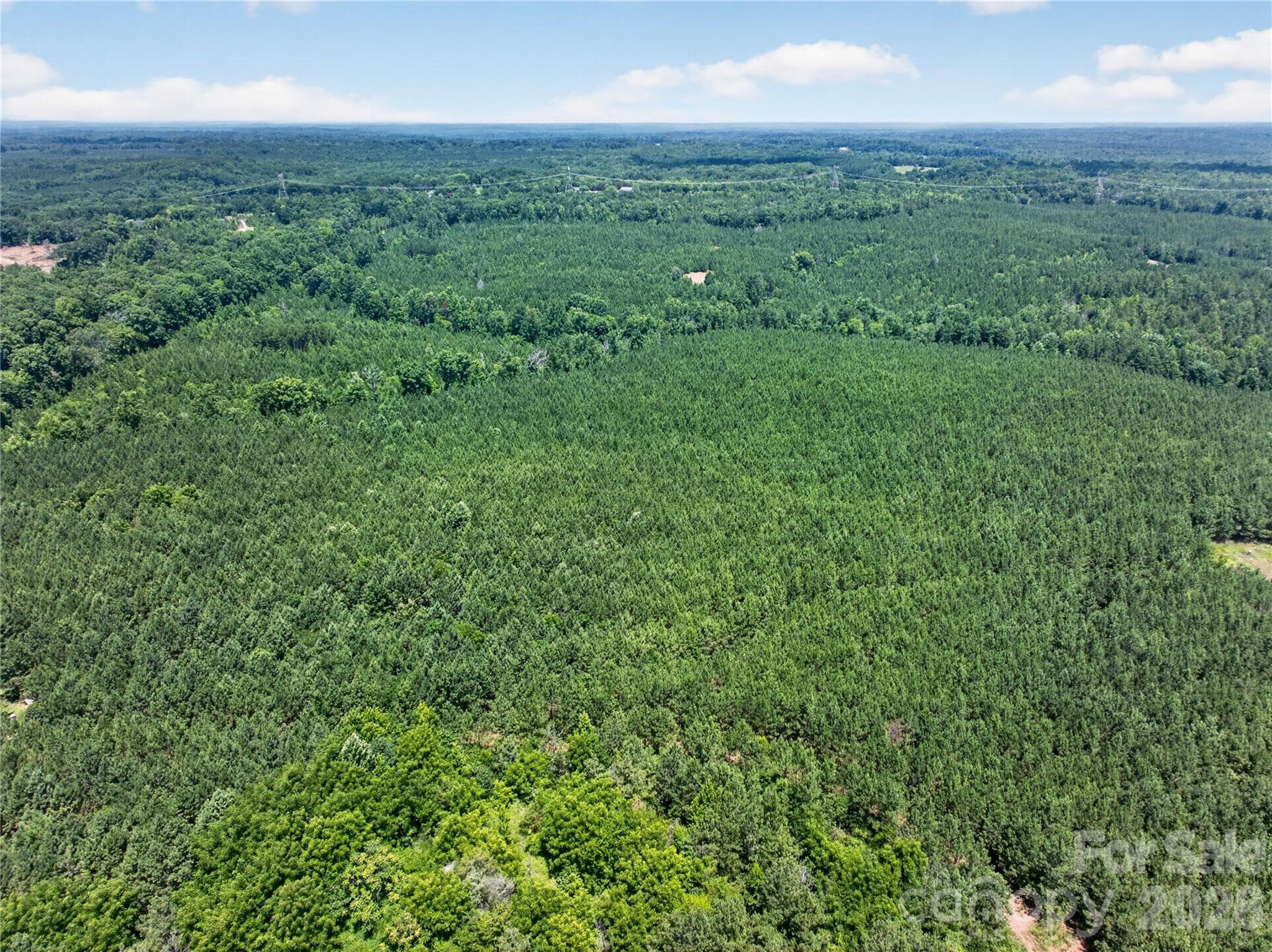 Acreage at 000 Blanton Road, Sharon, photo 20 of 24