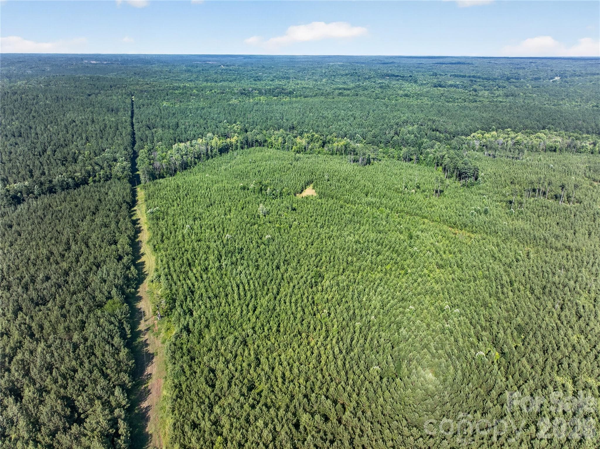 Acreage at 000 Blanton Road, Sharon, photo 22 of 24