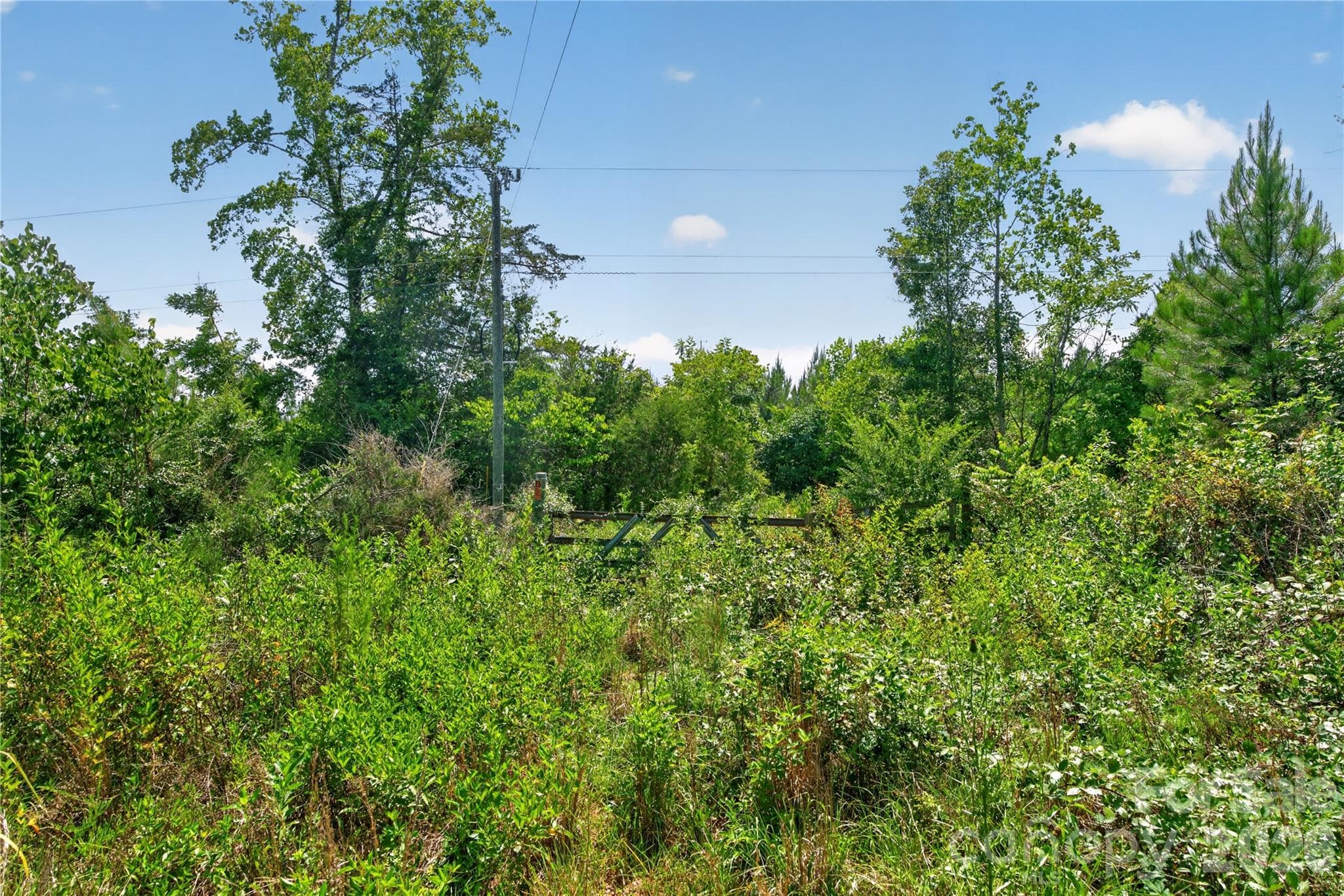 Acreage at 000 Blanton Road, Sharon, photo 23 of 24