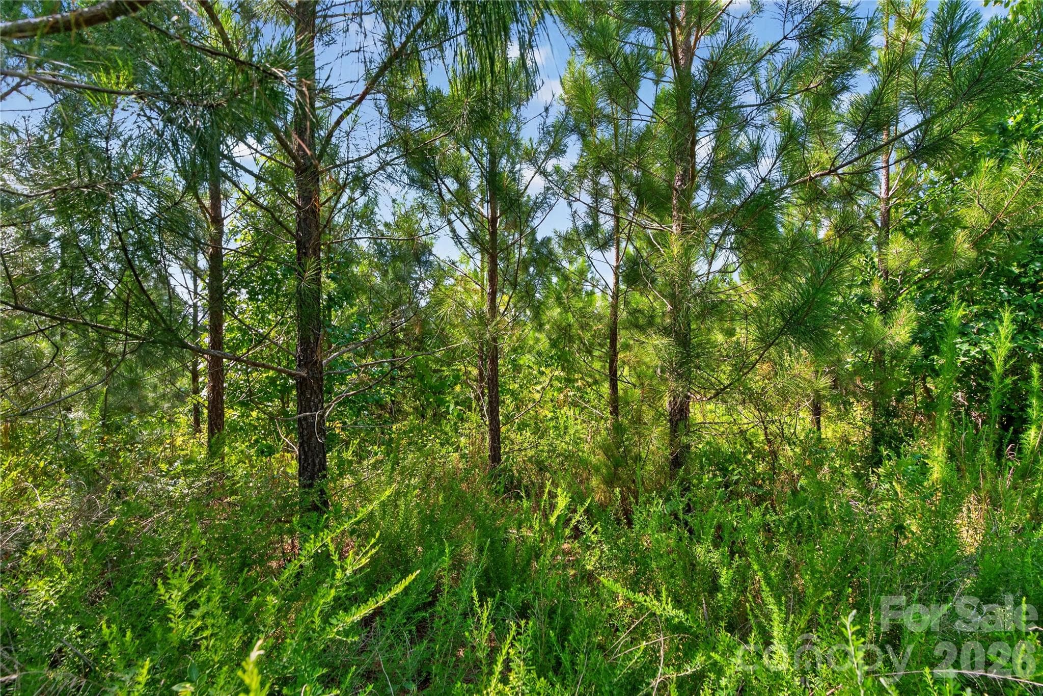 Acreage at 000 Blanton Road, Sharon, photo 24 of 24