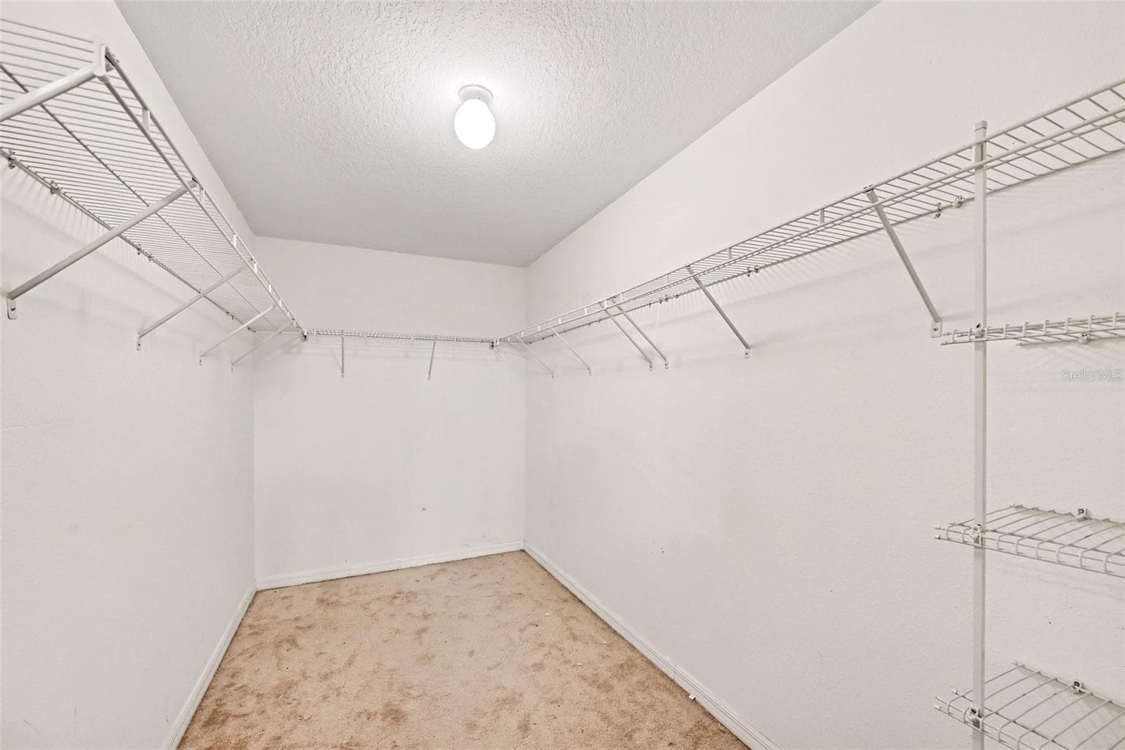 Single Family Residence at 1501 CLIMBING DAYFLOWER DR, RUSKIN, photo 19 of 34