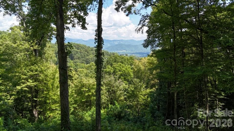 Single Family Residence at 2222 Sleepy Hollow Drive, Waynesville, photo 7 of 16