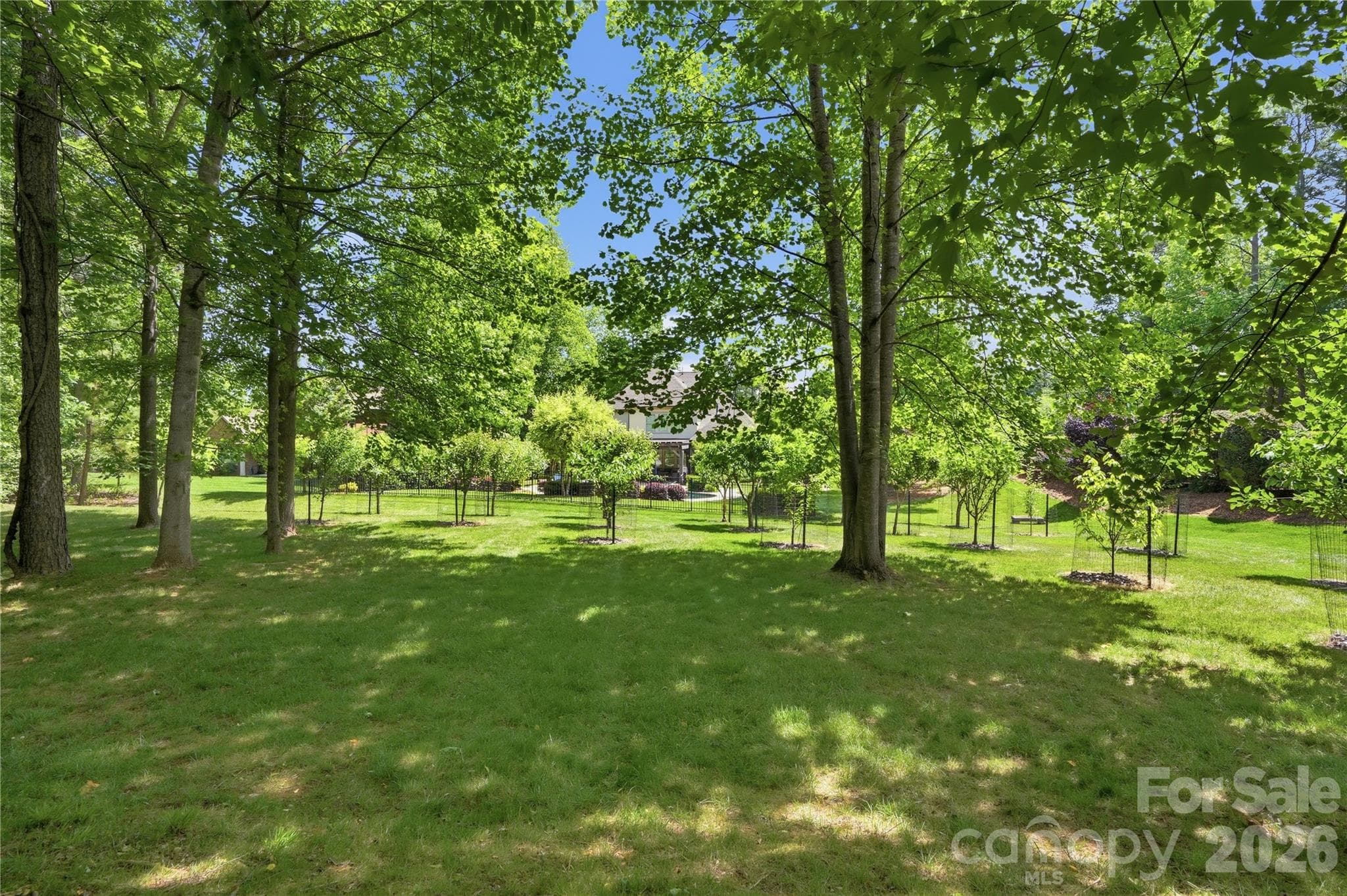 Fruit trees and mature trees in the private rear yard oasis - 13632 Castleford Drive, Mint Hill