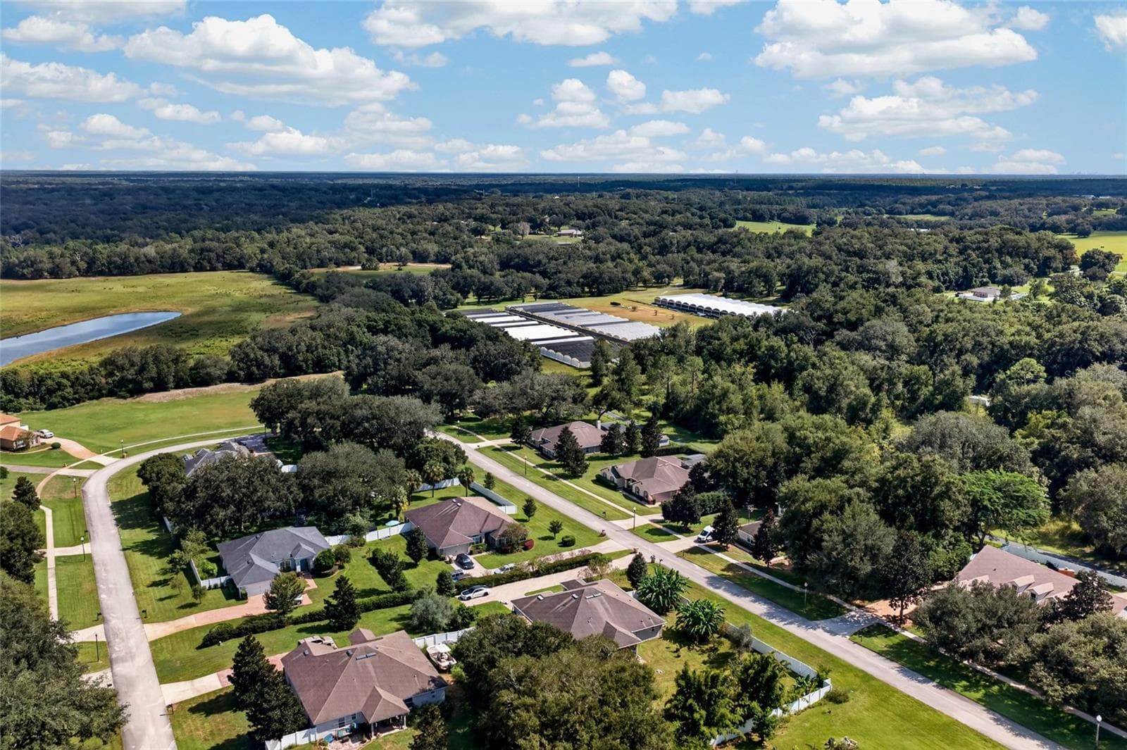 Backing to a hibiscus farm, the property offers a unique backdrop and a sense of privacy - 24114 PLYMOUTH HOLLOW CIR, SORRENTO