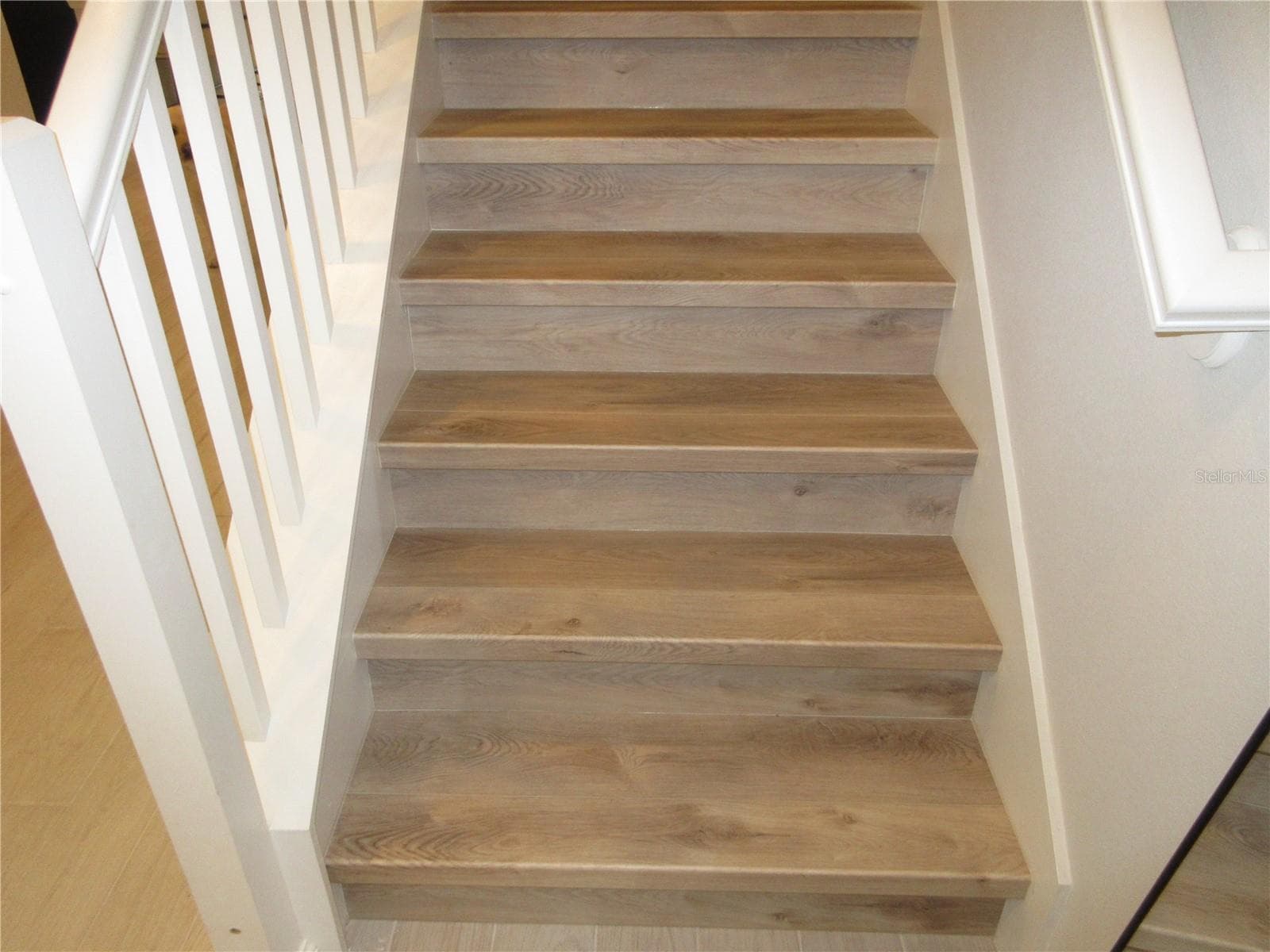 Luxury Vinyl Floor - 671 POTHOS ST, APOPKA
