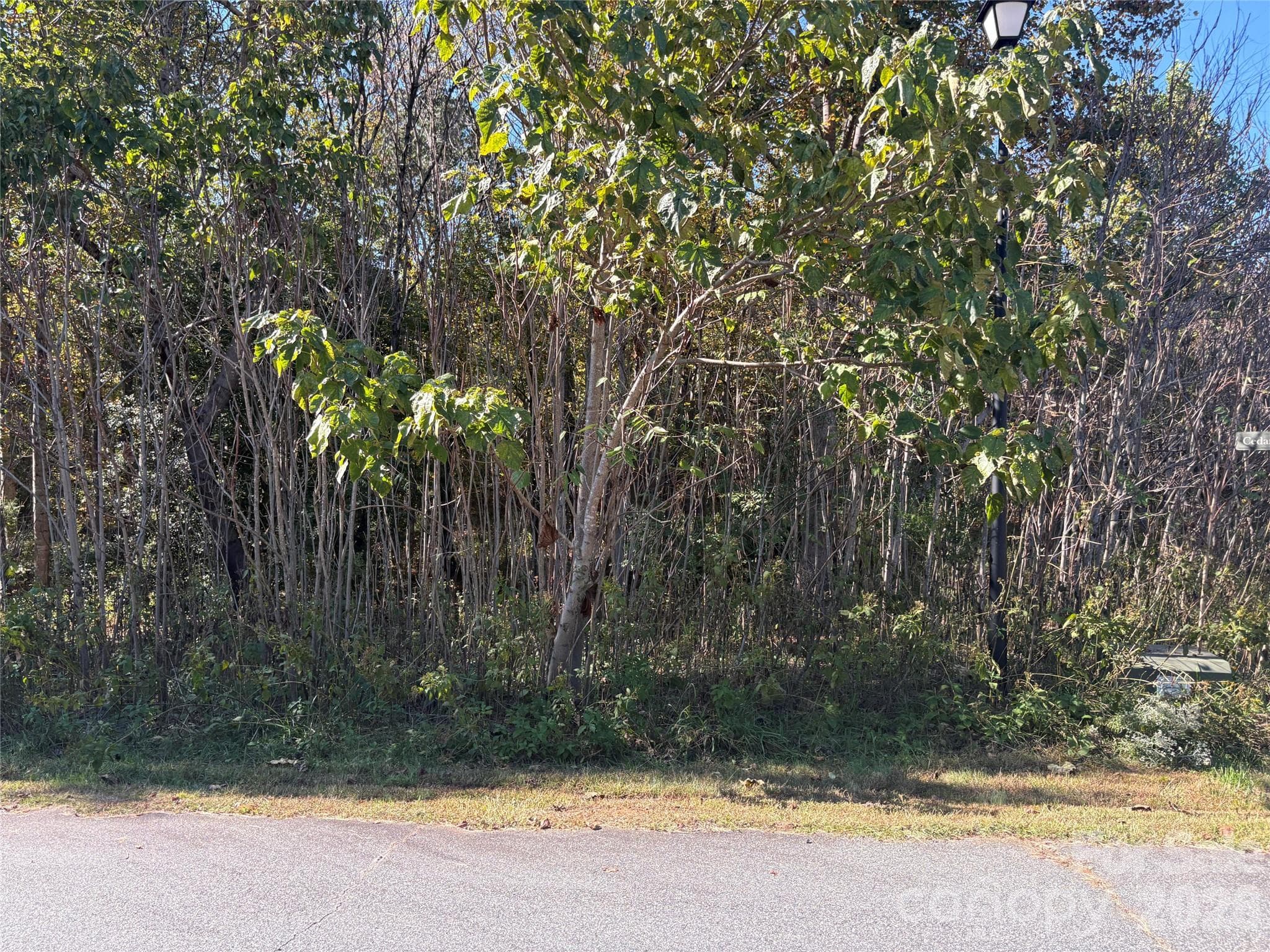 Lot at Lot 15 Hickory Loop, Rutherfordton, photo 7 of 10