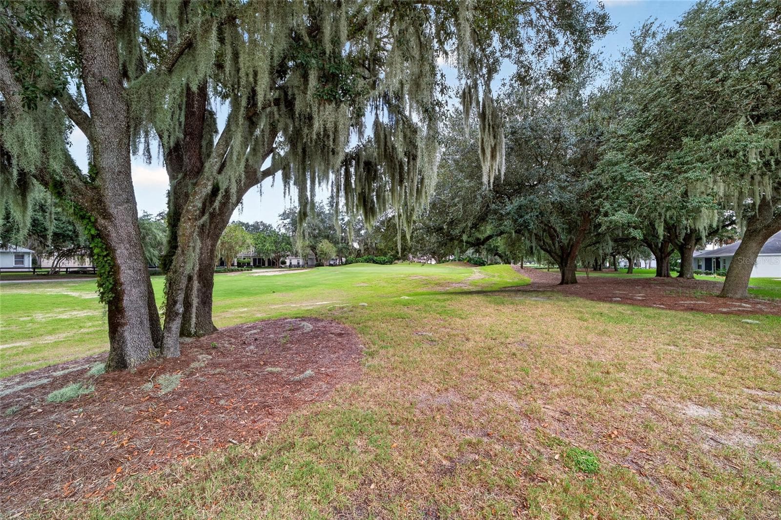 Single Family Residence at 509 CHULA VISTA AVE, THE VILLAGES, photo 59 of 78