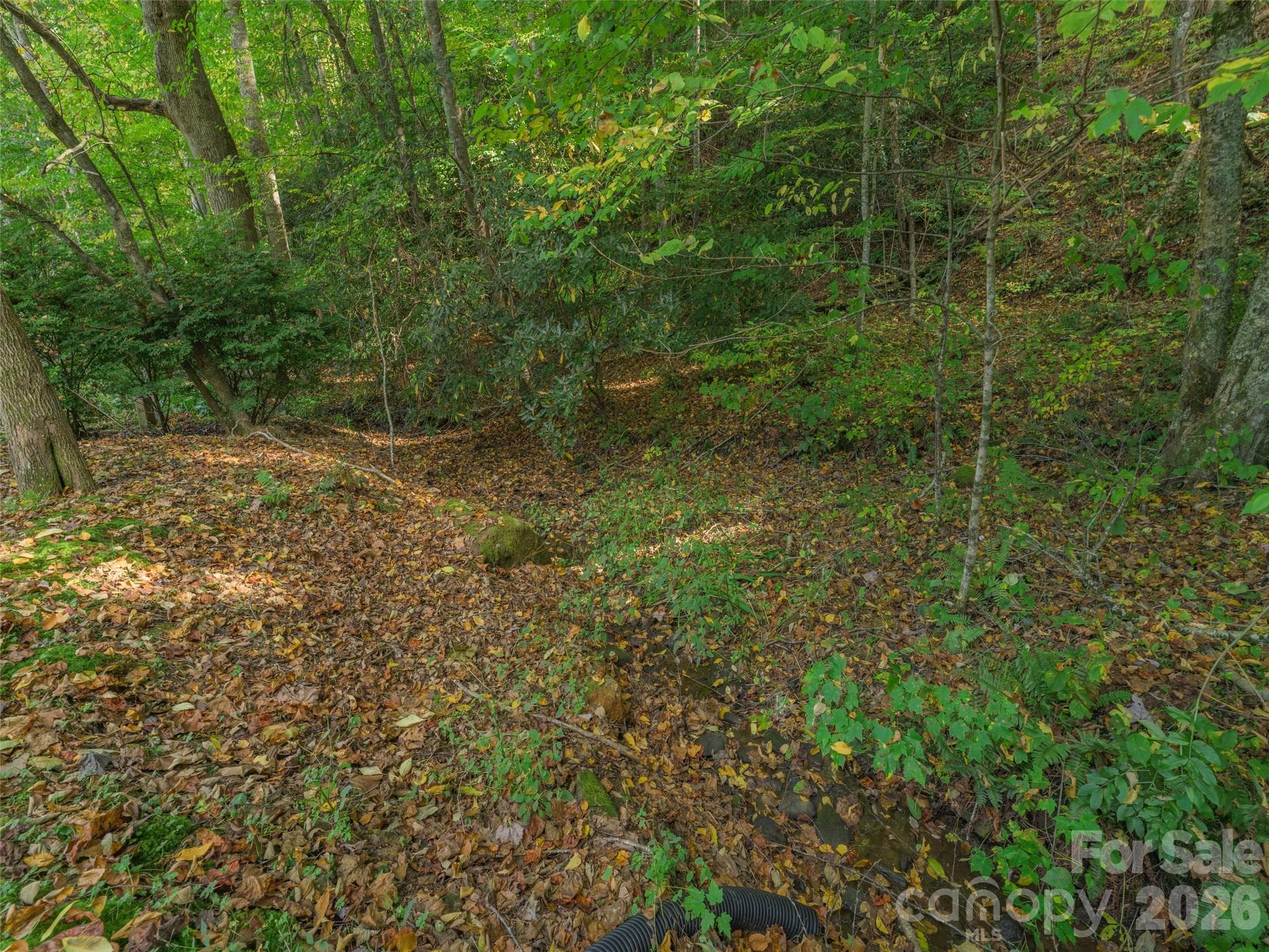 Single Family Residence at 99 Cripple Creek Road, Waynesville, photo 29 of 33