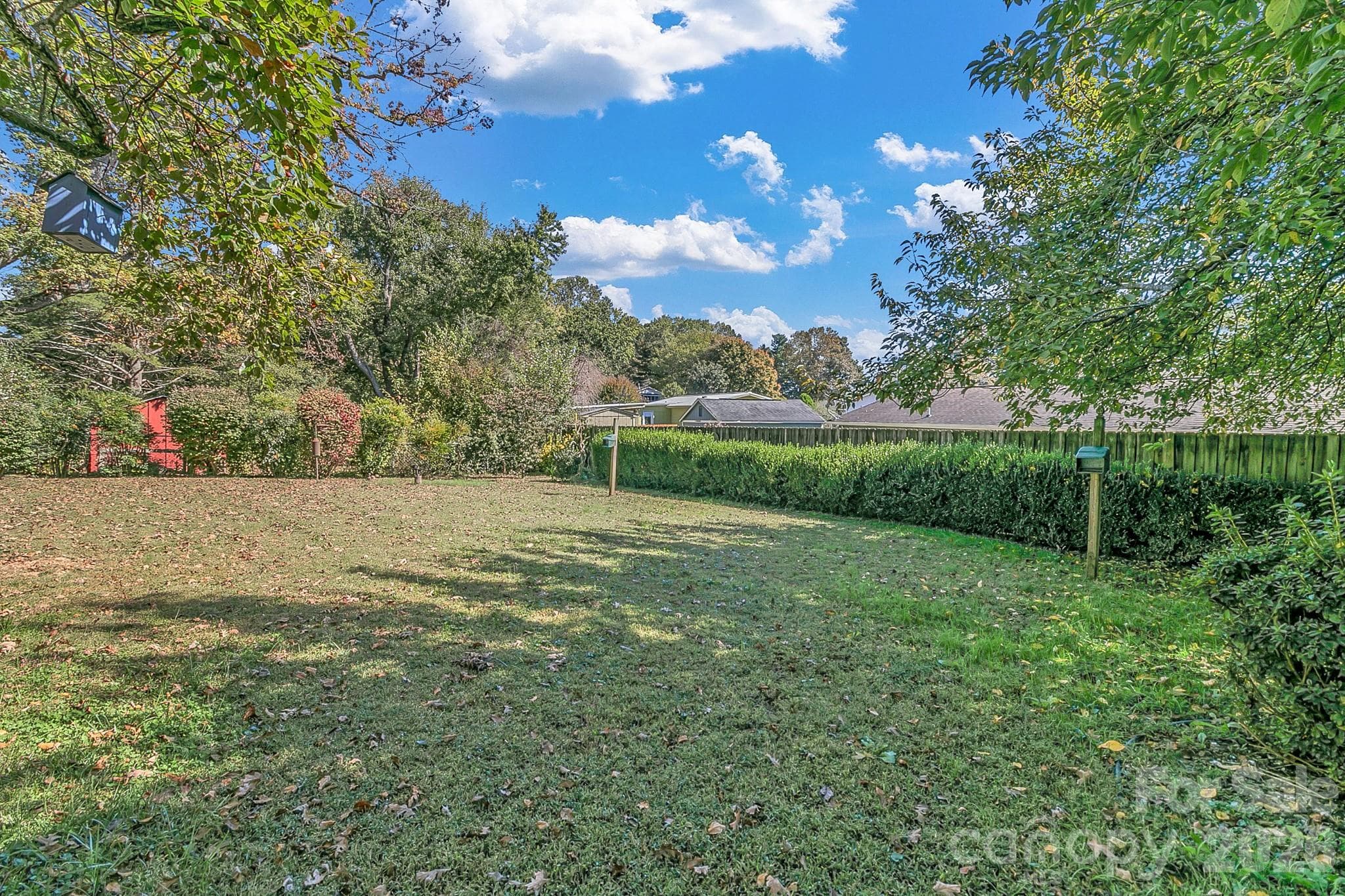 Back yard view from sunroom - 1 Dewberry Lane, Hendersonville