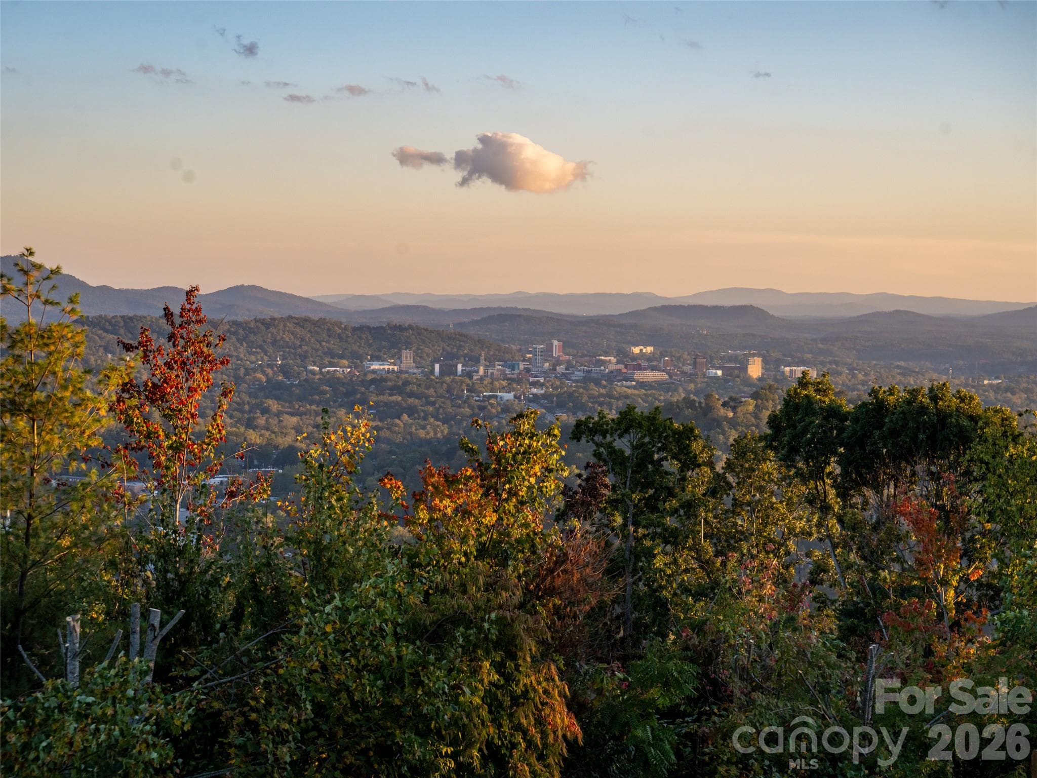 Single Family Residence at 637 Altamont View, Asheville, photo 21 of 48