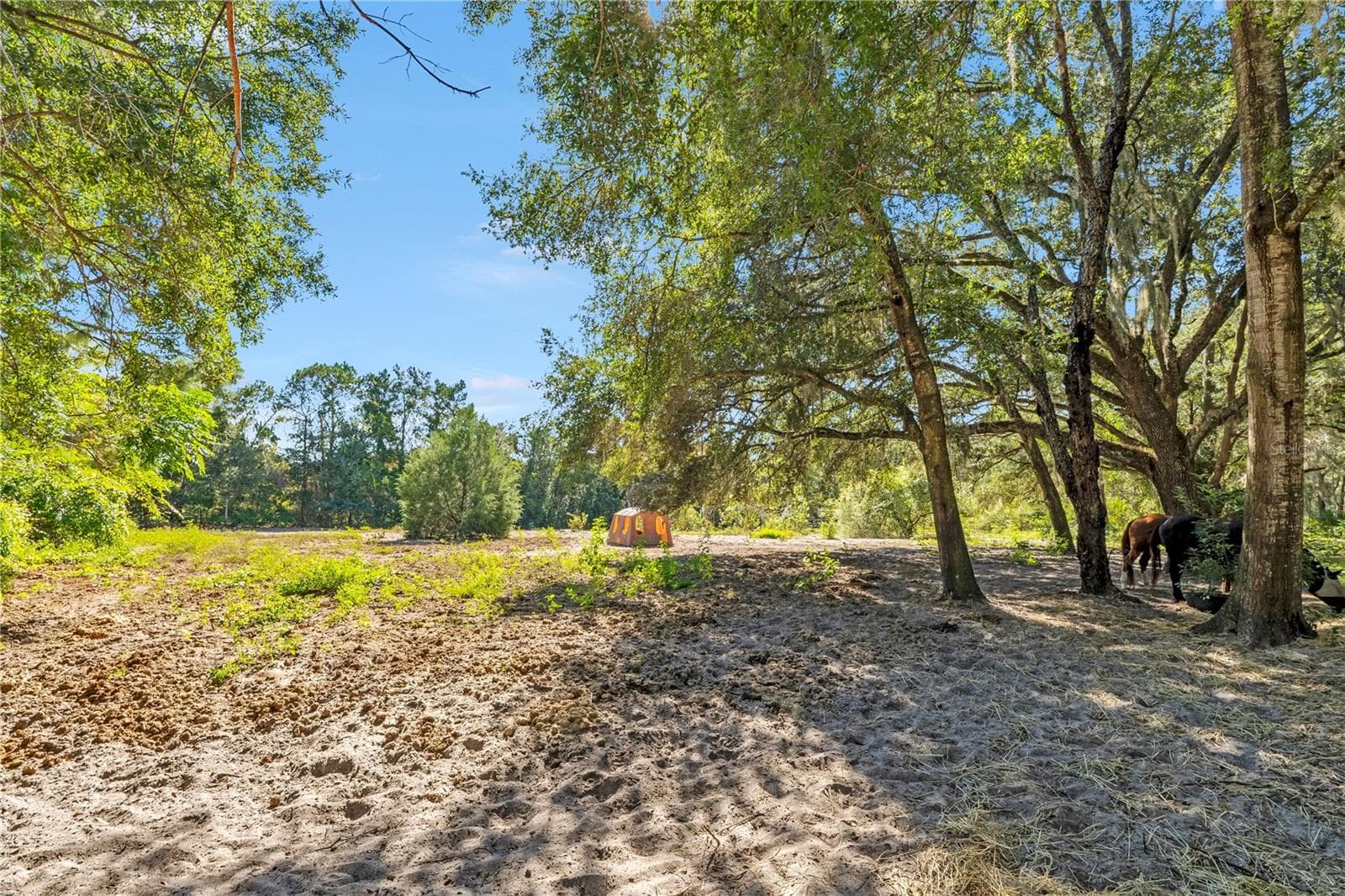 Single Family Residence at 37820 RIDGECREST LN, LADY LAKE, photo 28 of 37