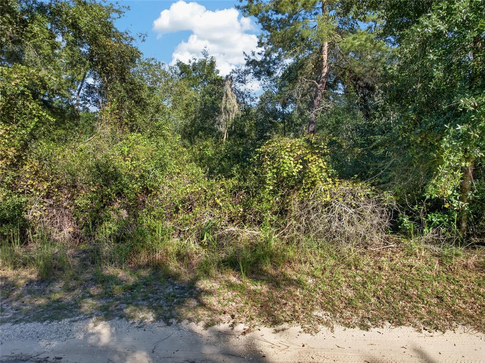 Land at 431 WILBURTON DR, DELTONA, photo 2 of 28
