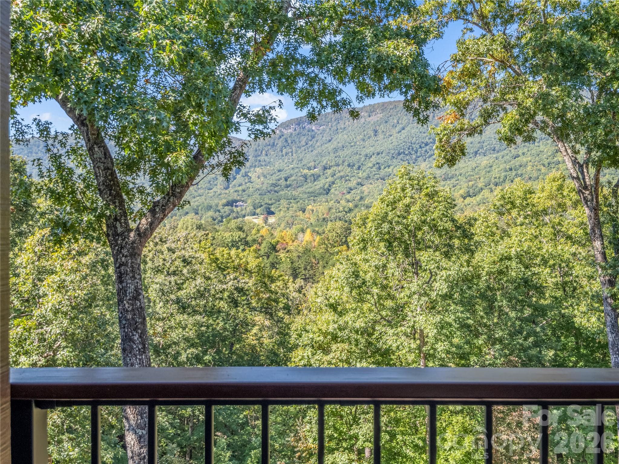 Single Family Residence at 815 E Deep Gap Farm Road, Mill Spring, photo 17 of 48